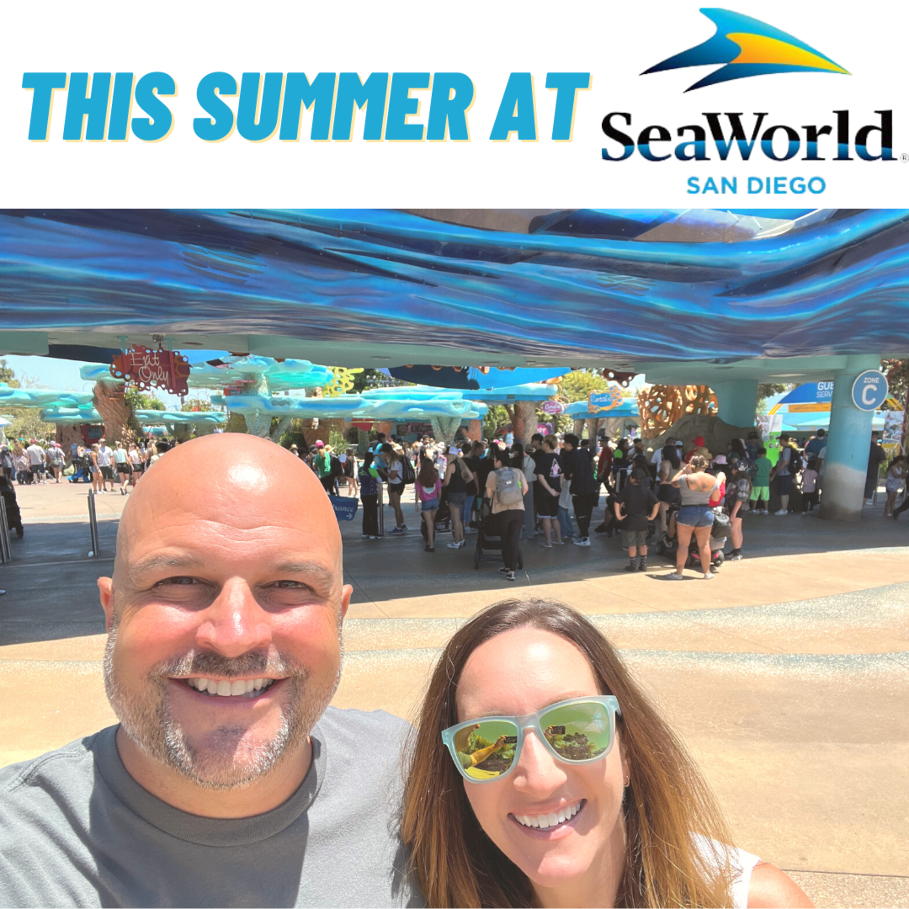 Summer at Sea World episode artwork