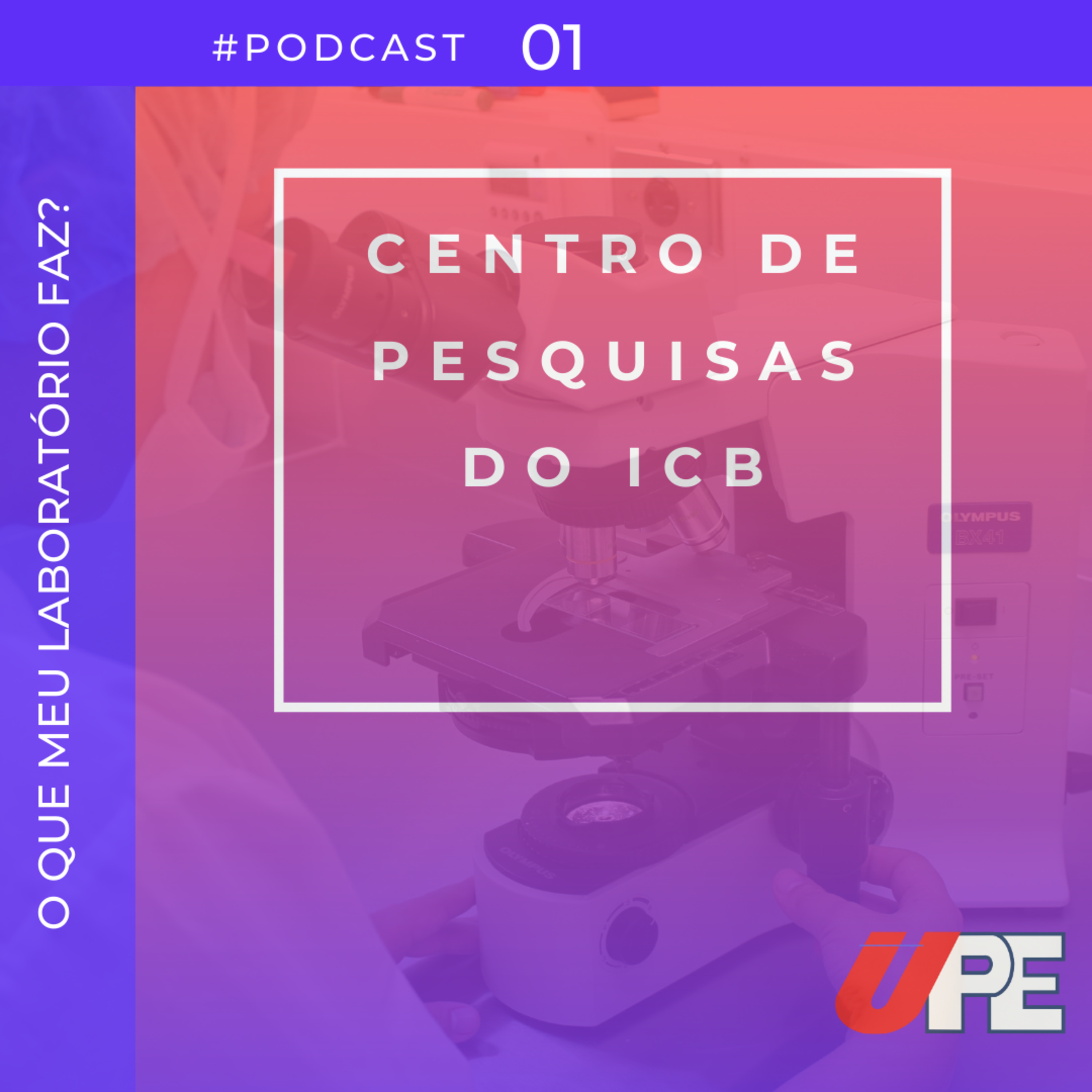 UPE nas Redes