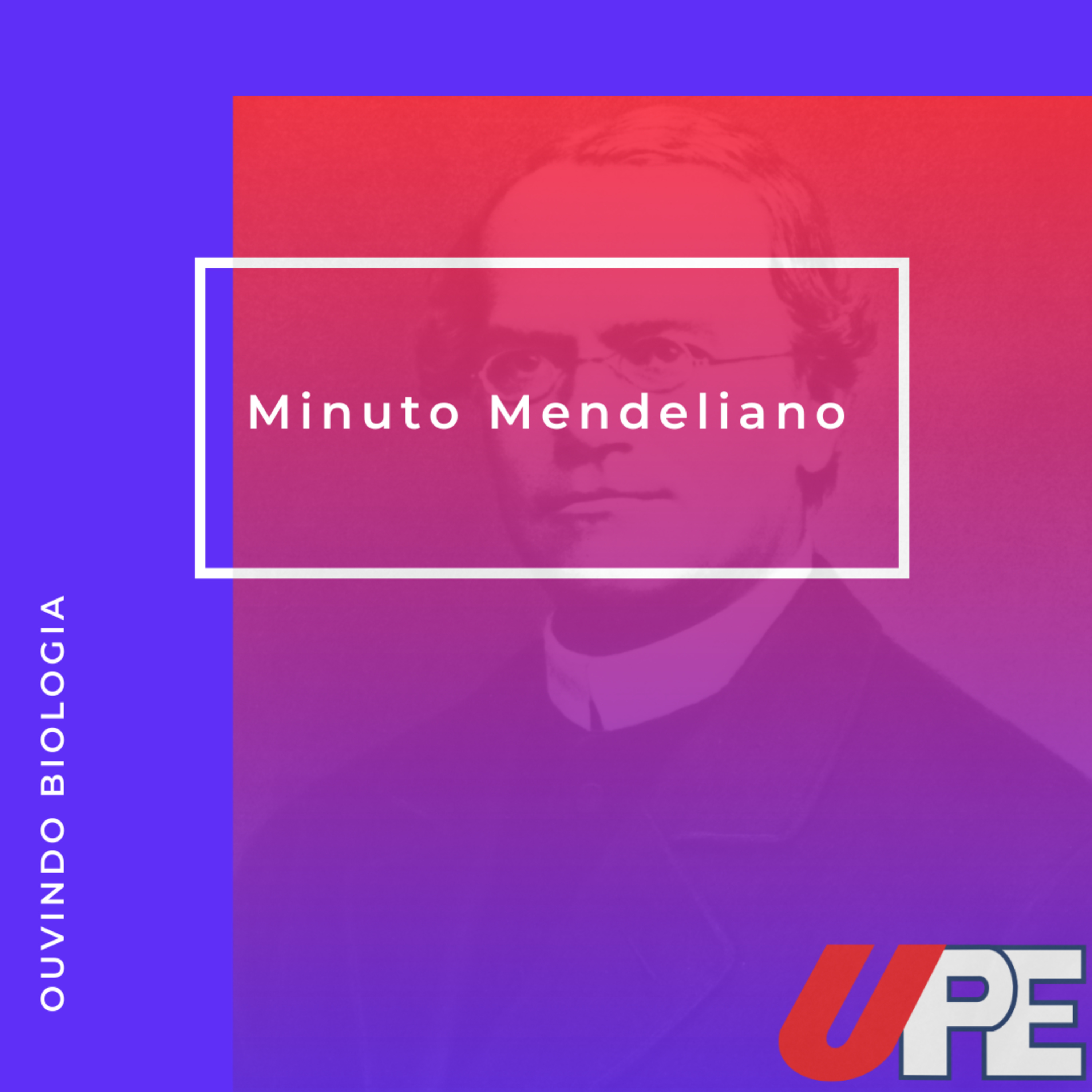 UPE nas Redes