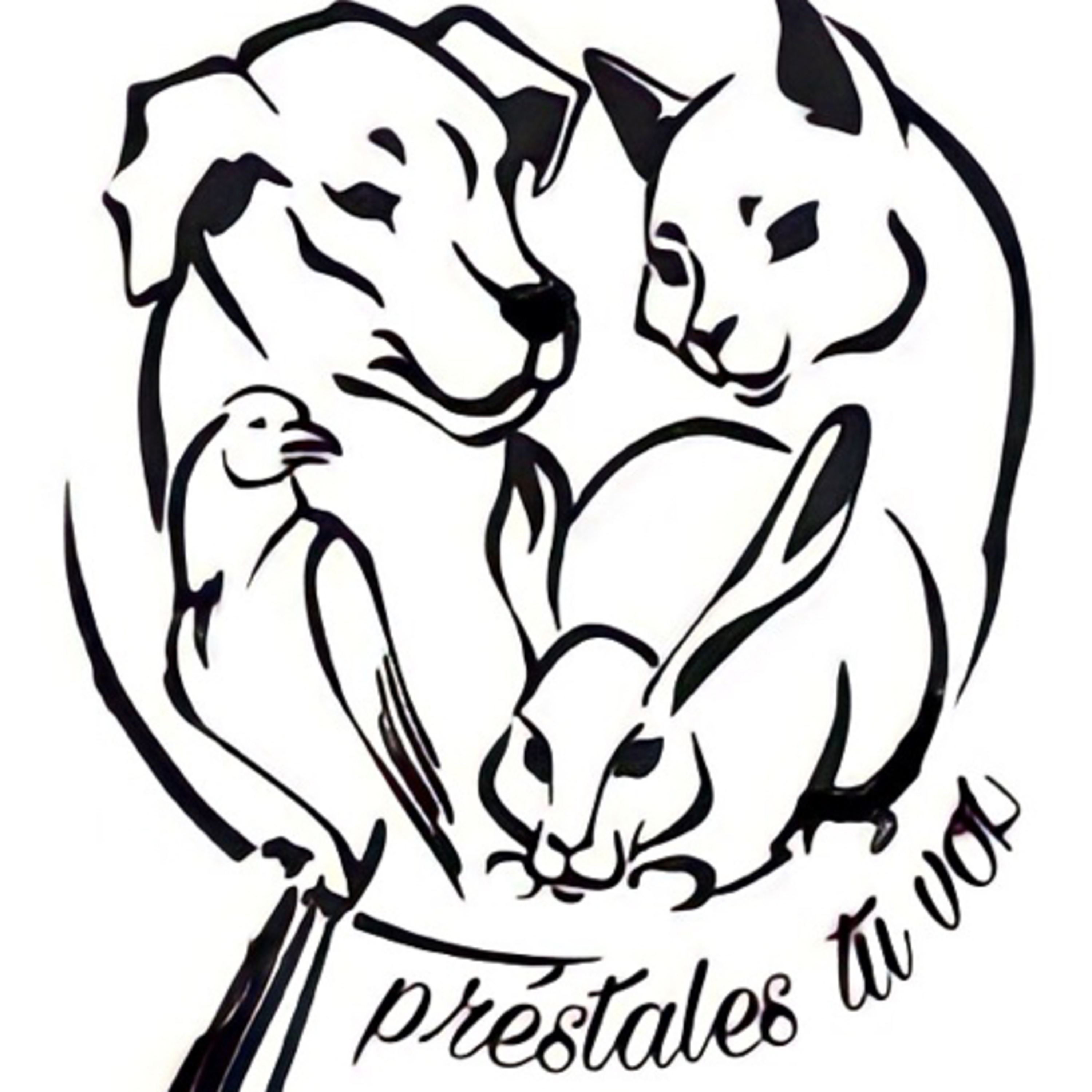 Normalización de la violencia.