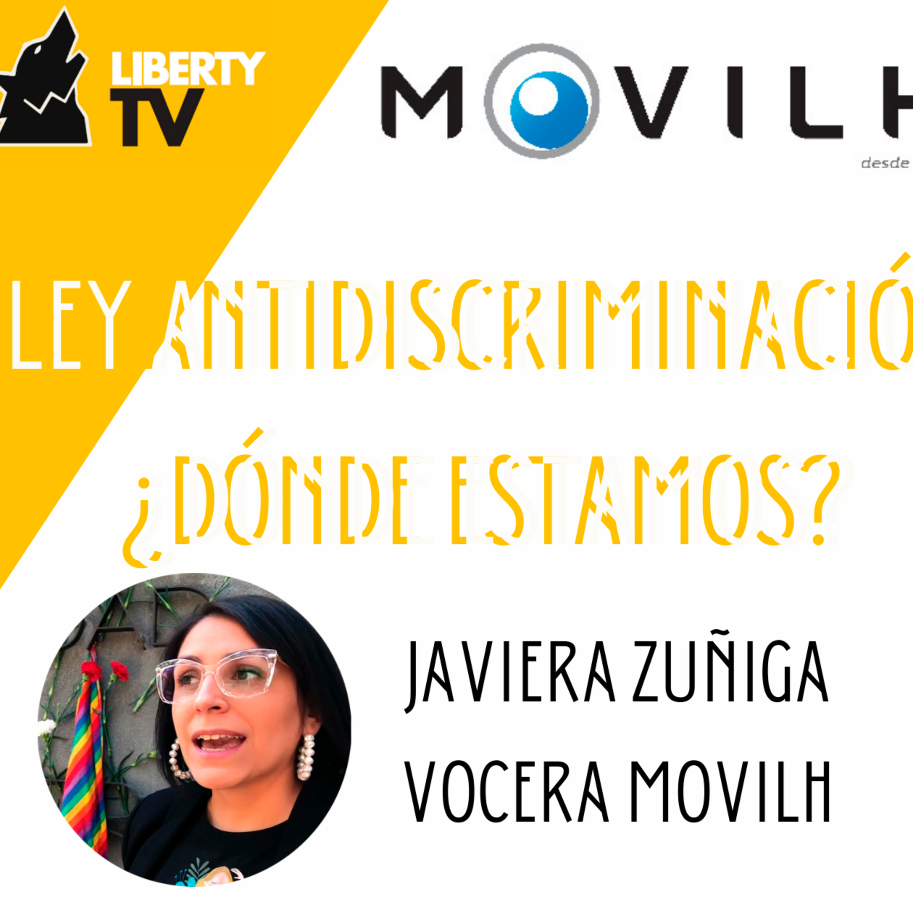 Ley Zamudio a 9 años de su promulgación en Chile ¿Dónde Estamos con la Ley Antidiscriminación?  episode artwork