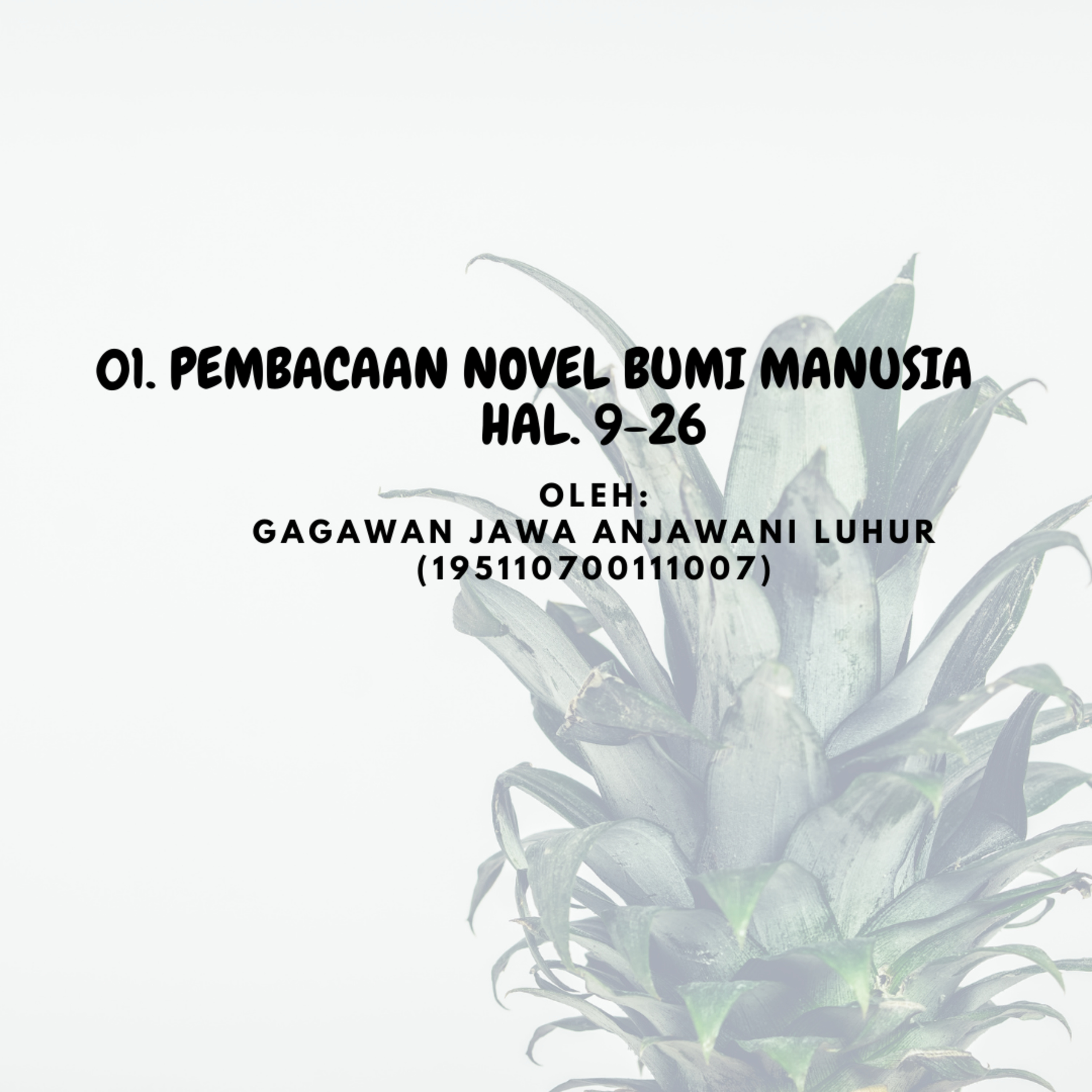 Novel Bumi Manusia