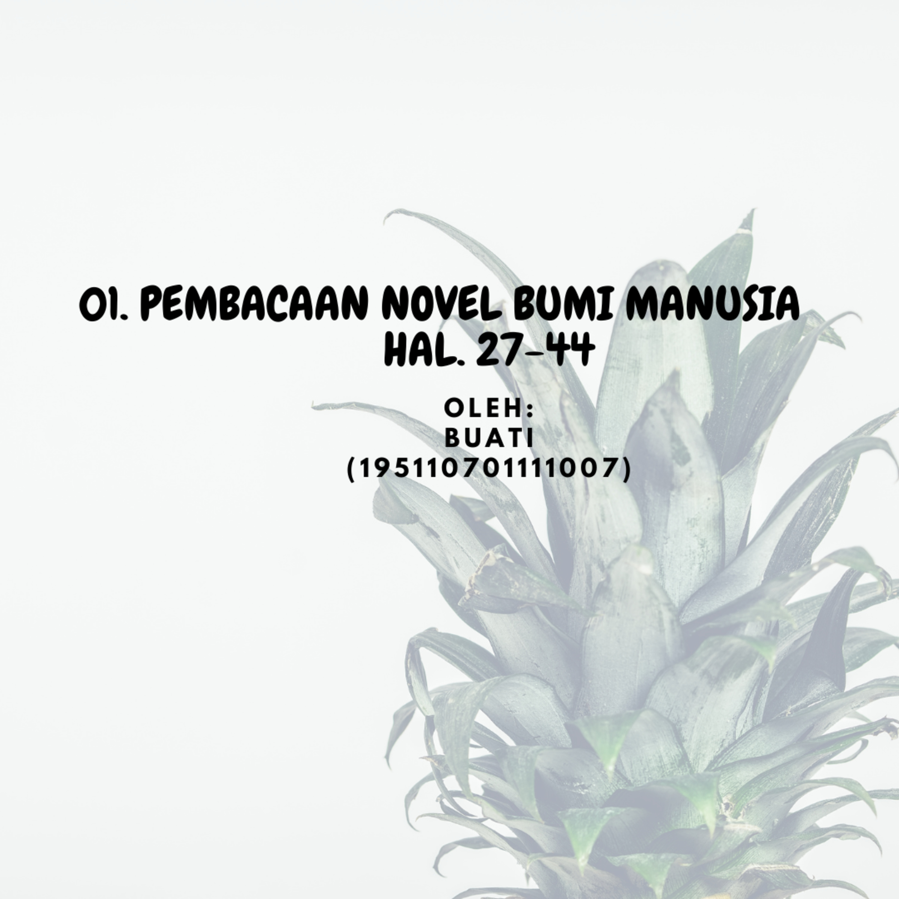 Novel Bumi Manusia