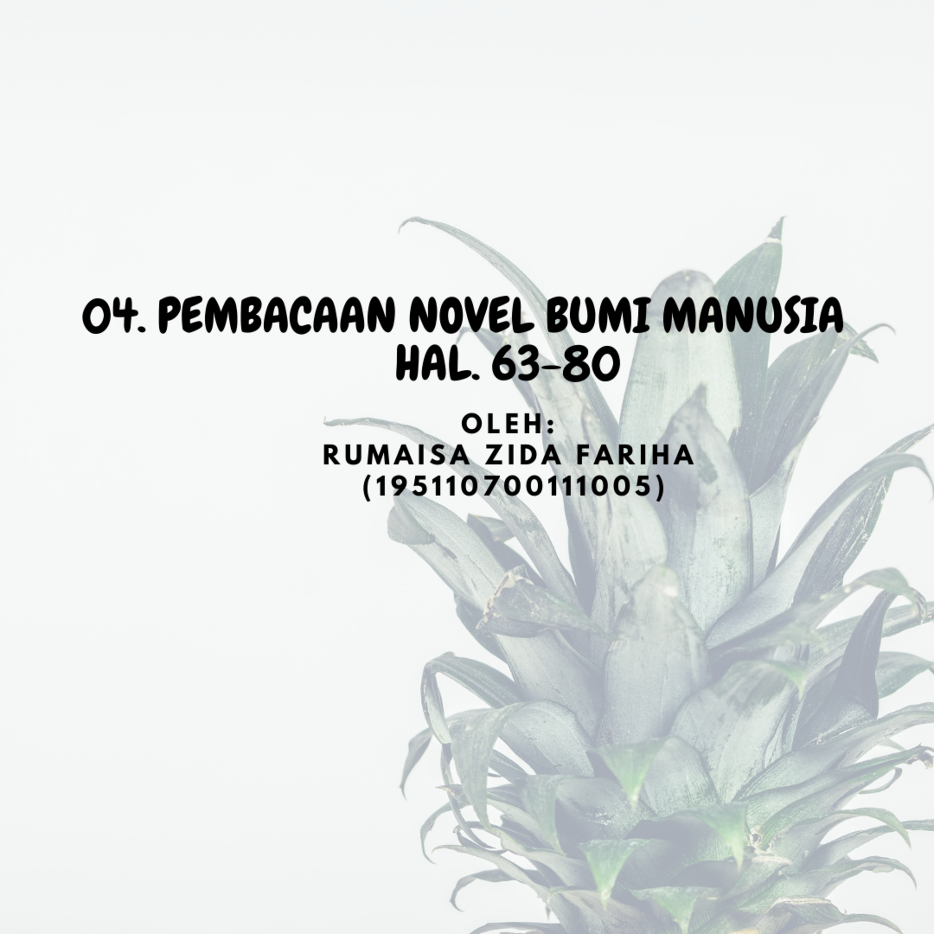 Novel Bumi Manusia
