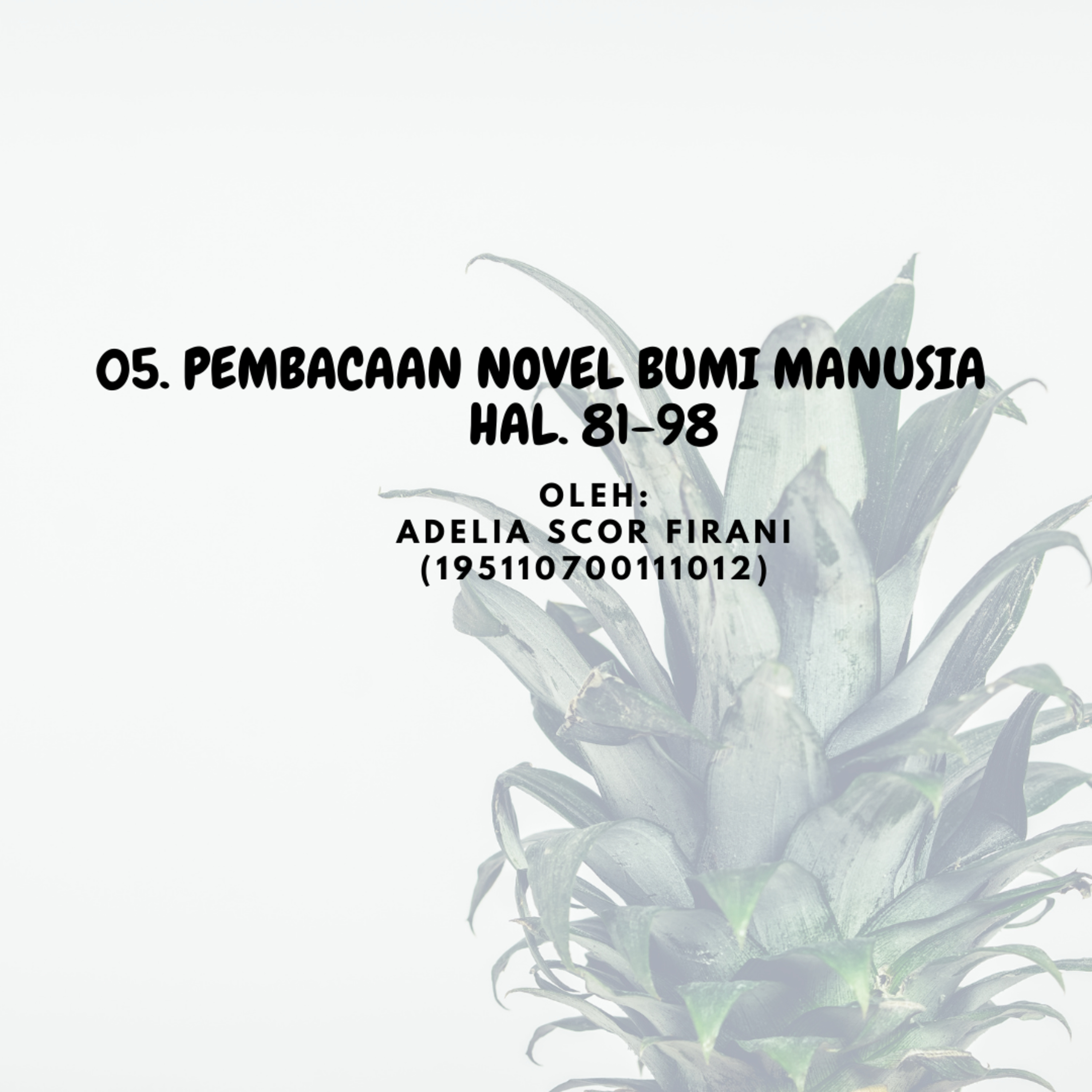 Novel Bumi Manusia