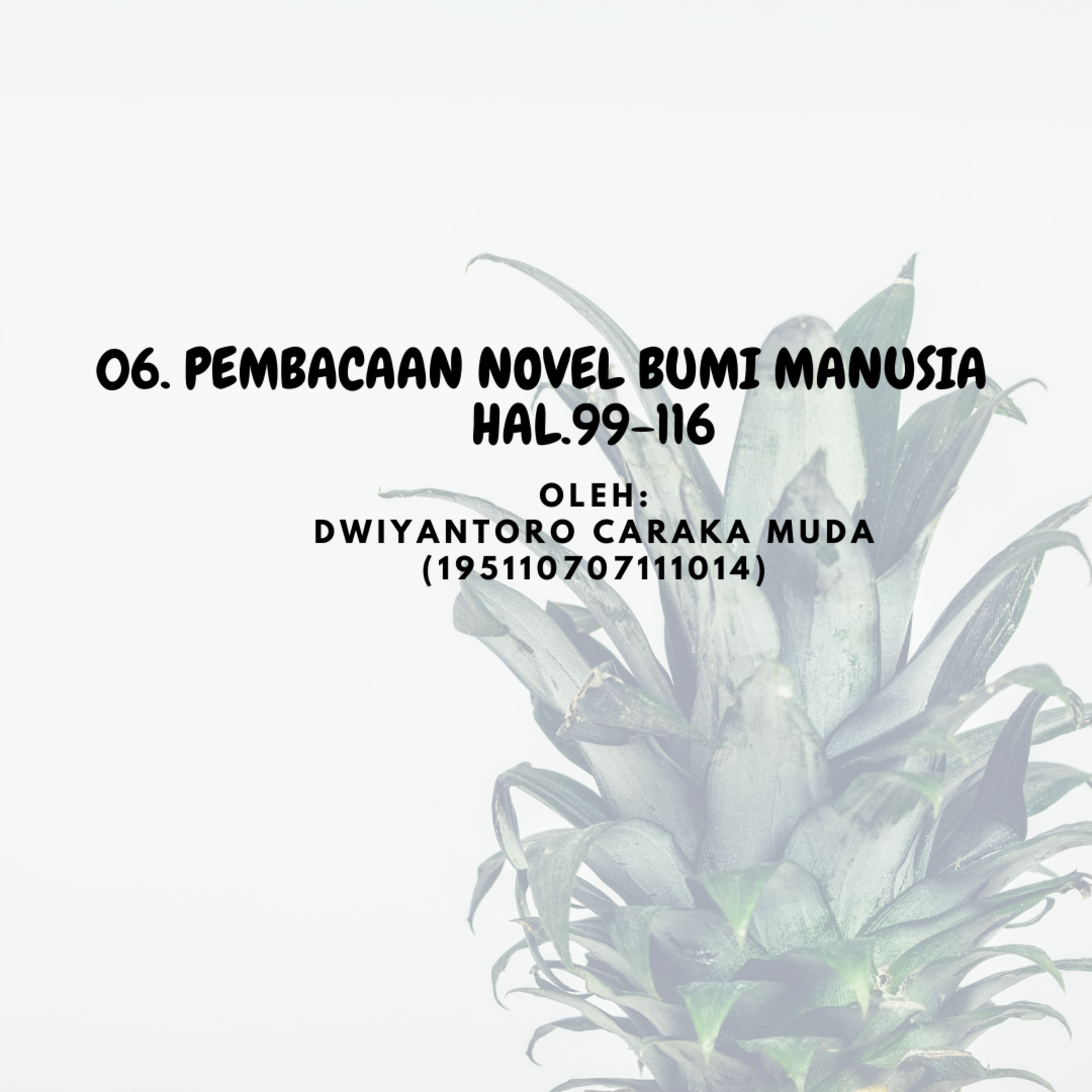 Novel Bumi Manusia