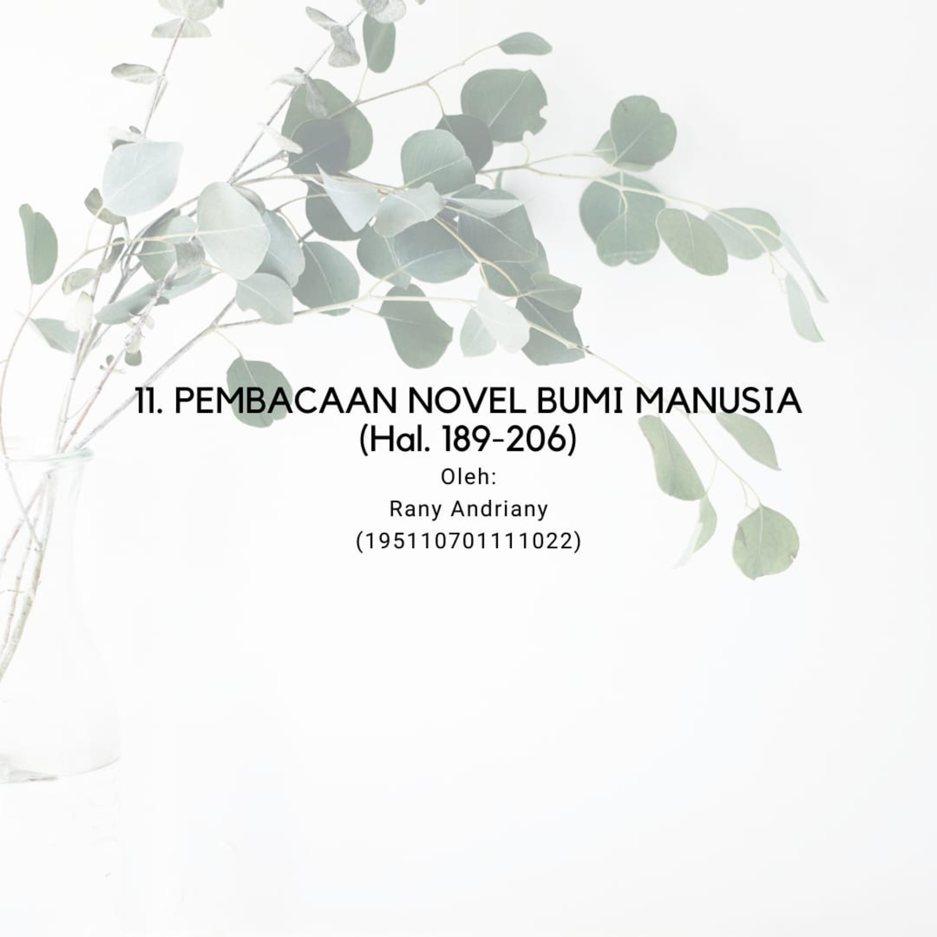 Novel Bumi Manusia