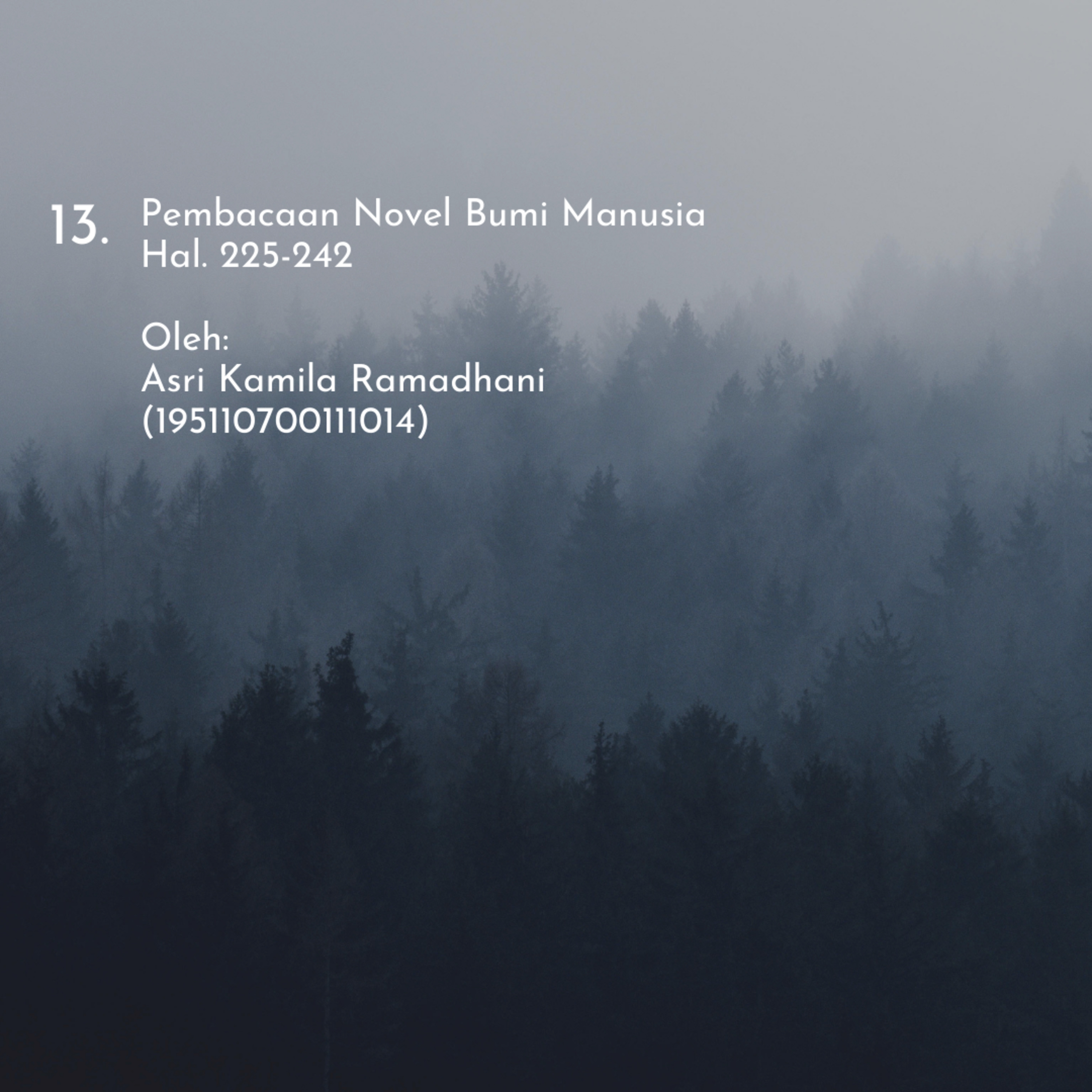 Novel Bumi Manusia