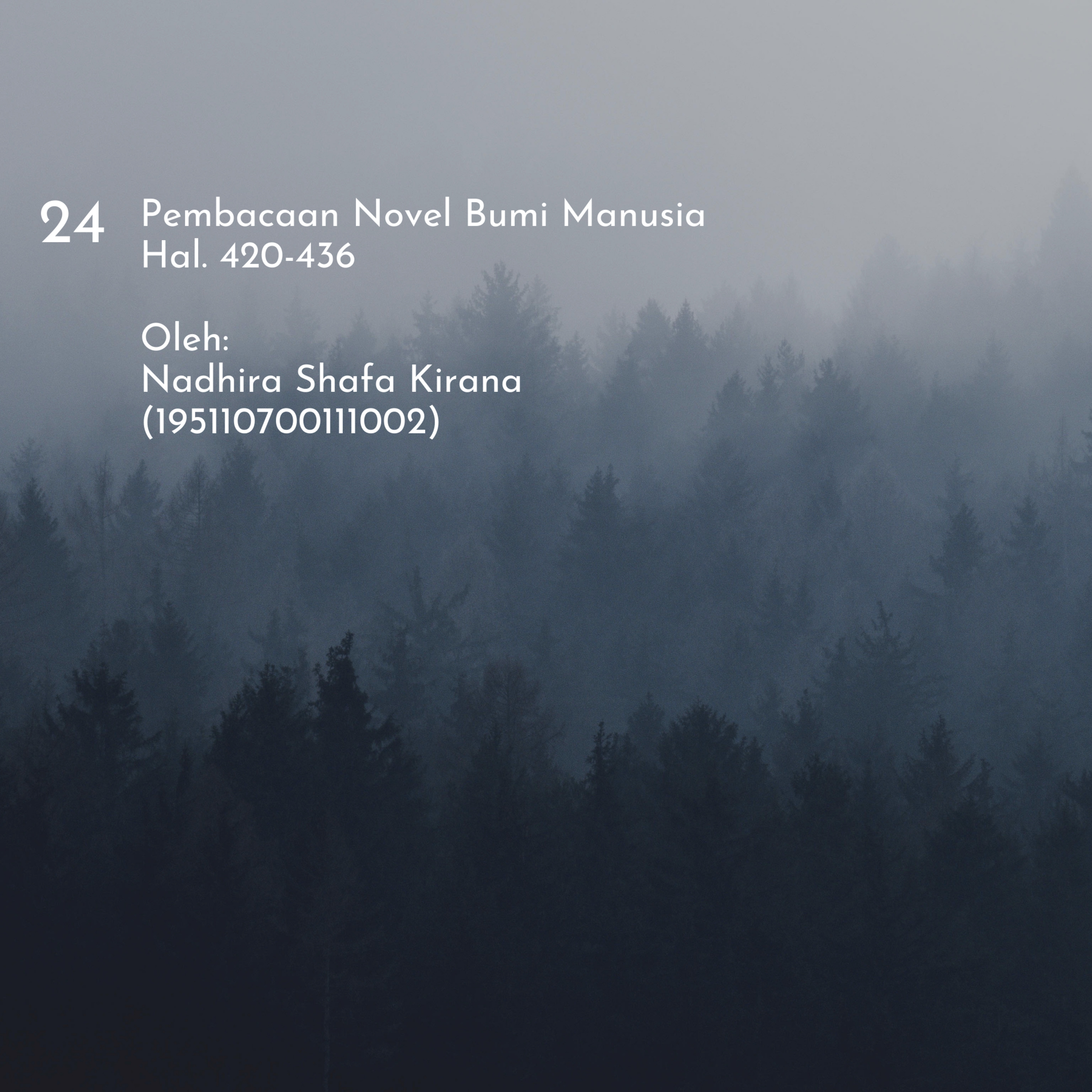 Novel Bumi Manusia