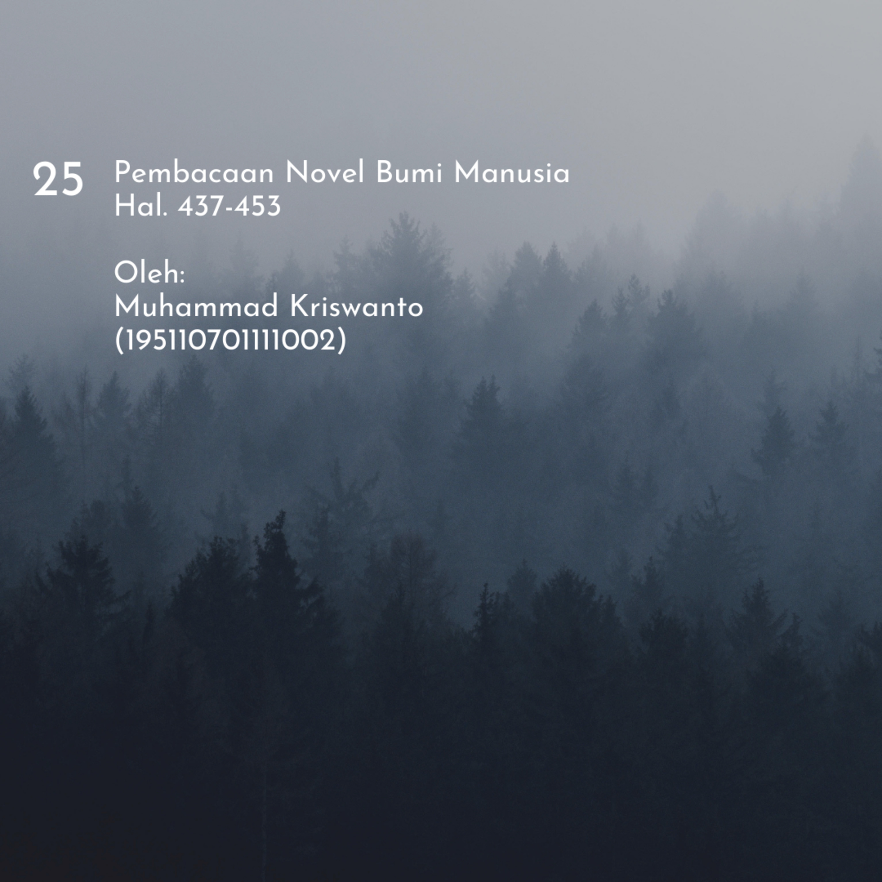 Novel Bumi Manusia