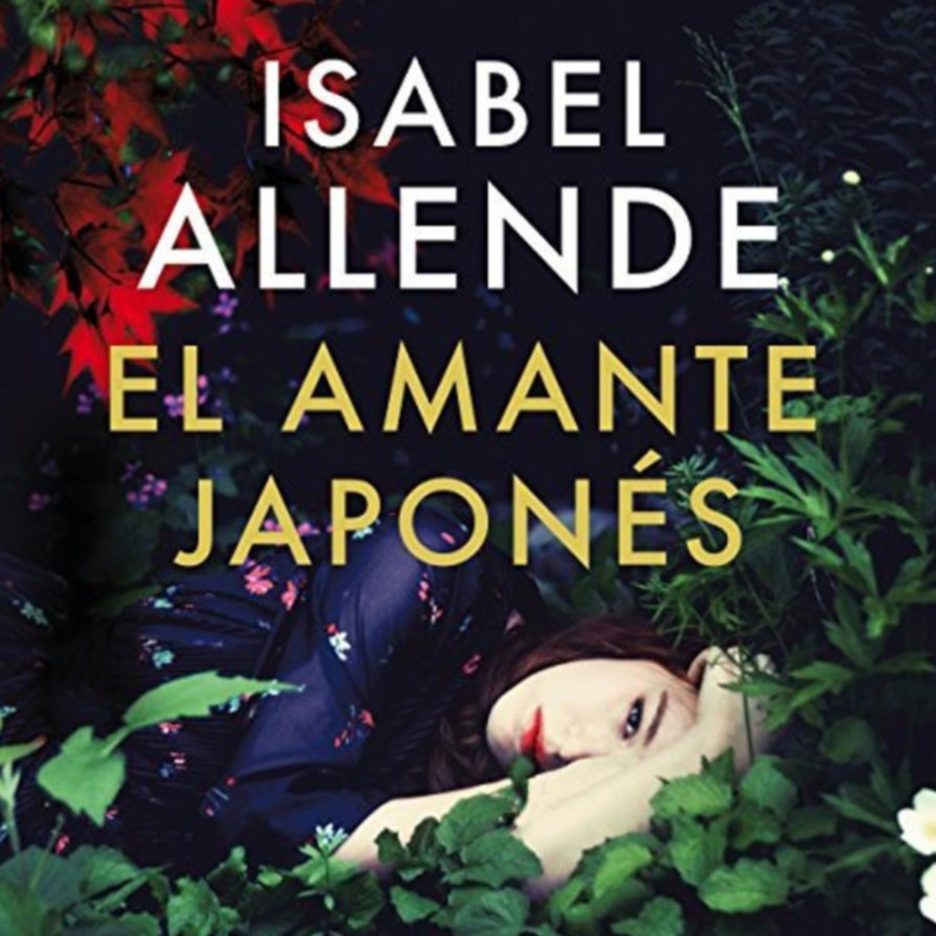 EL AMANTE JAPONÉS. ISABEL ALLENDE. Parte 14. episode artwork