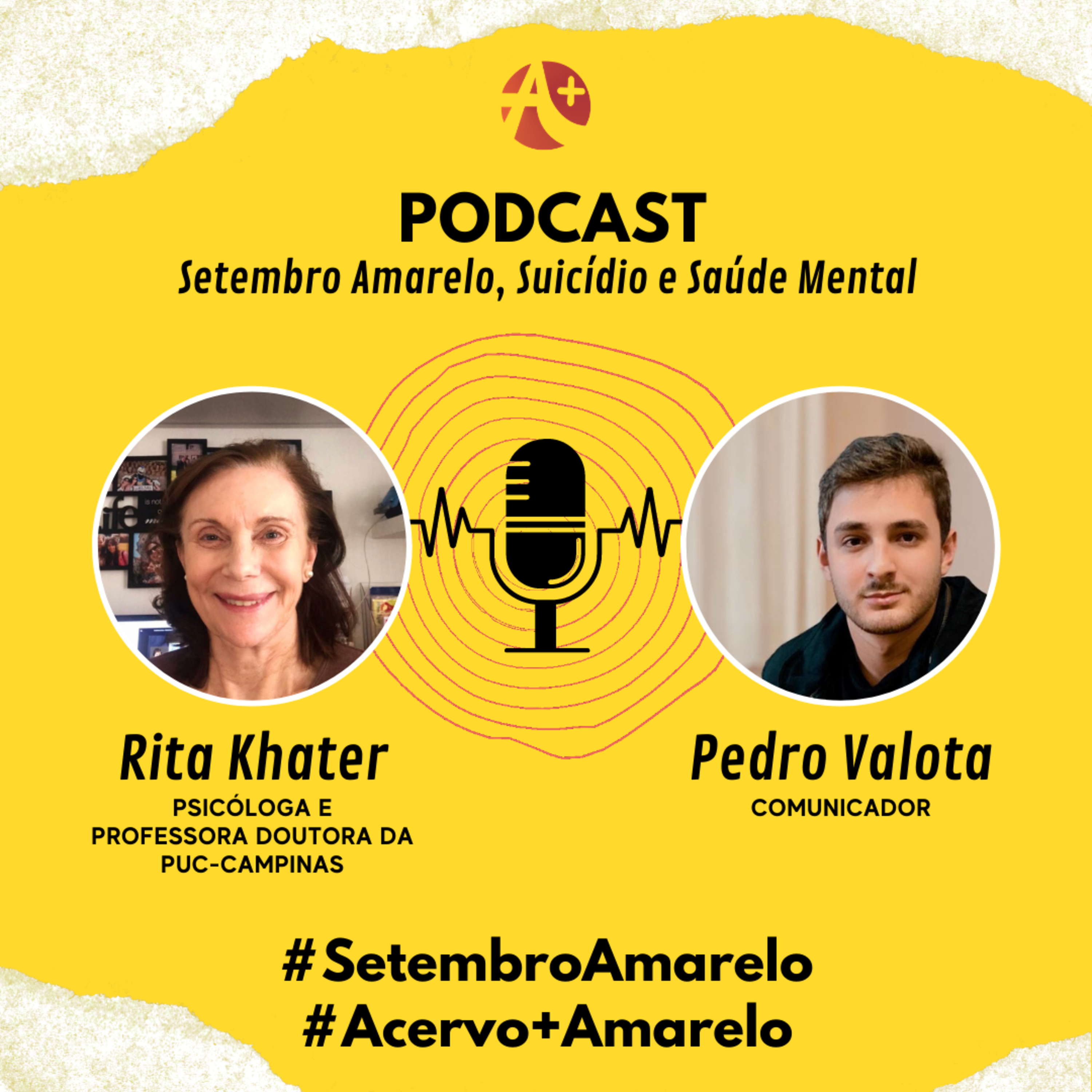 Programa Acervo+ em Pauta