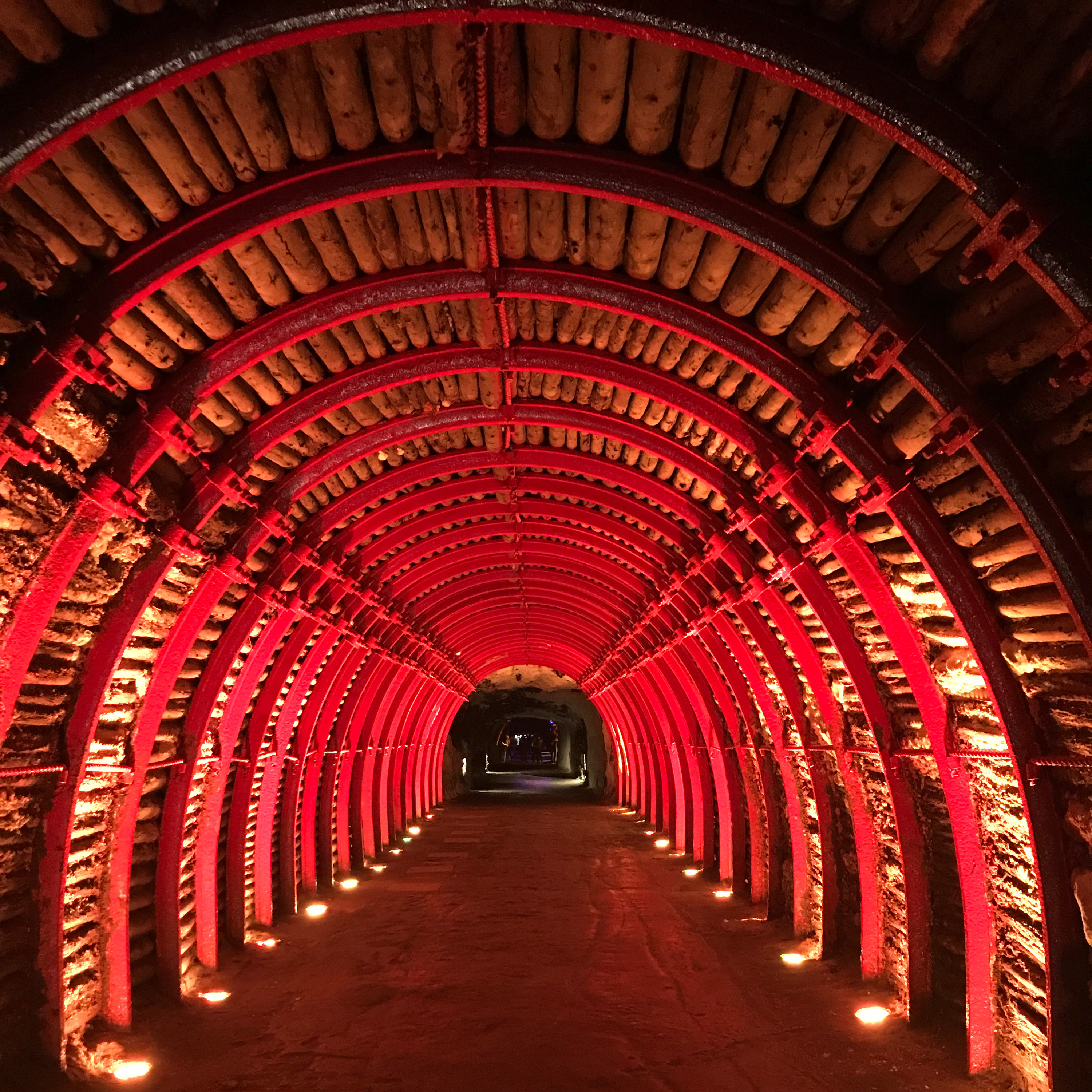 Luz