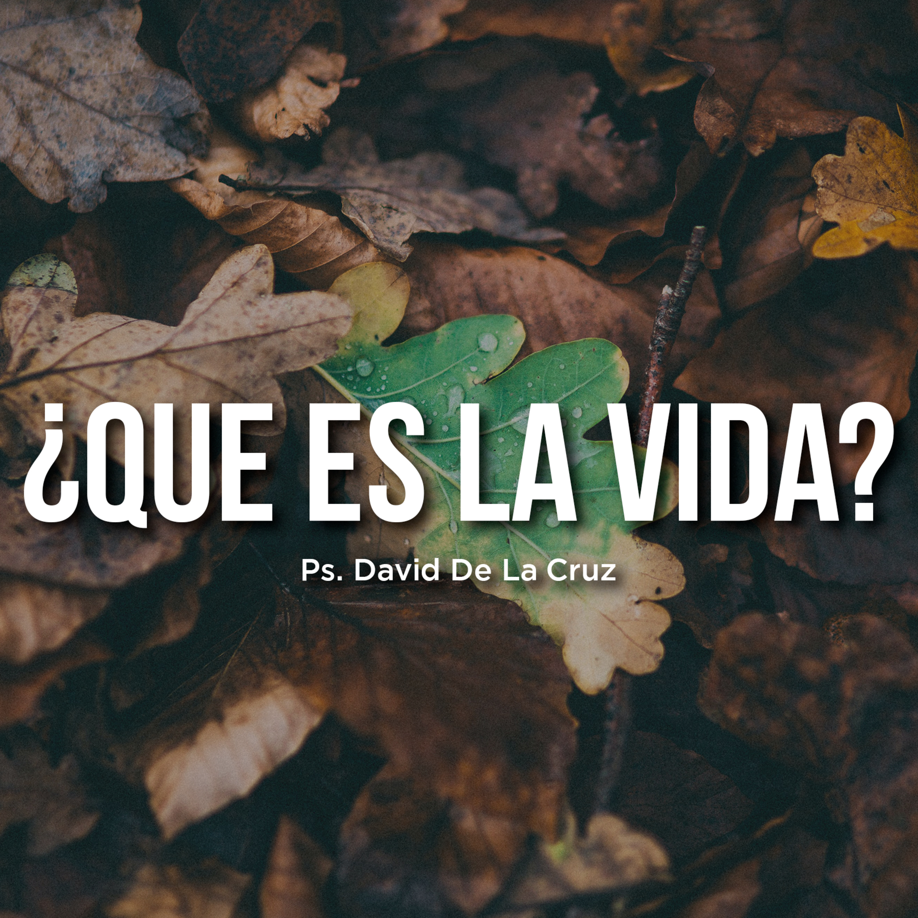 Ps. David De La Cruz