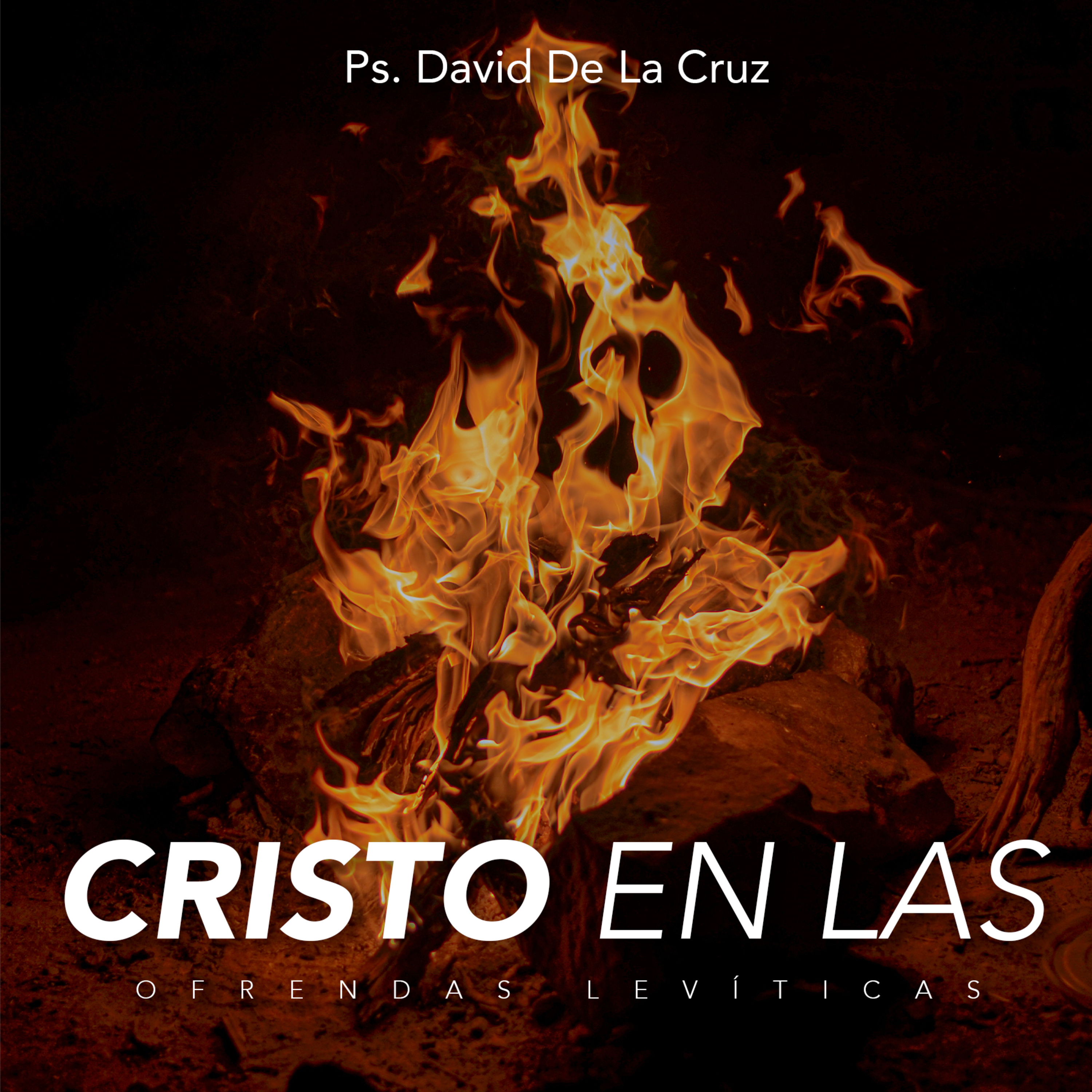 OFRENDA POR LA CULPA  episode artwork