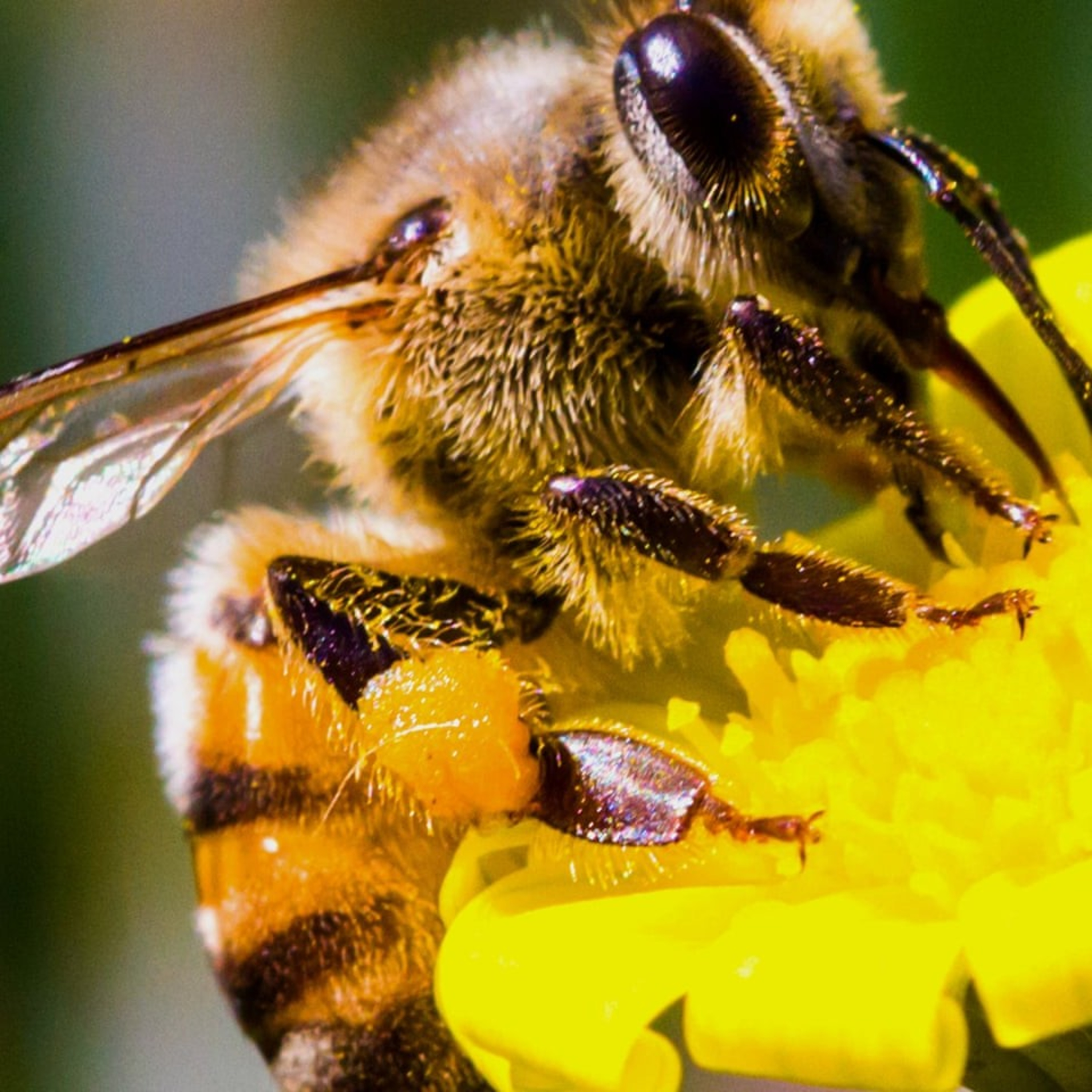 Living On A Scale News