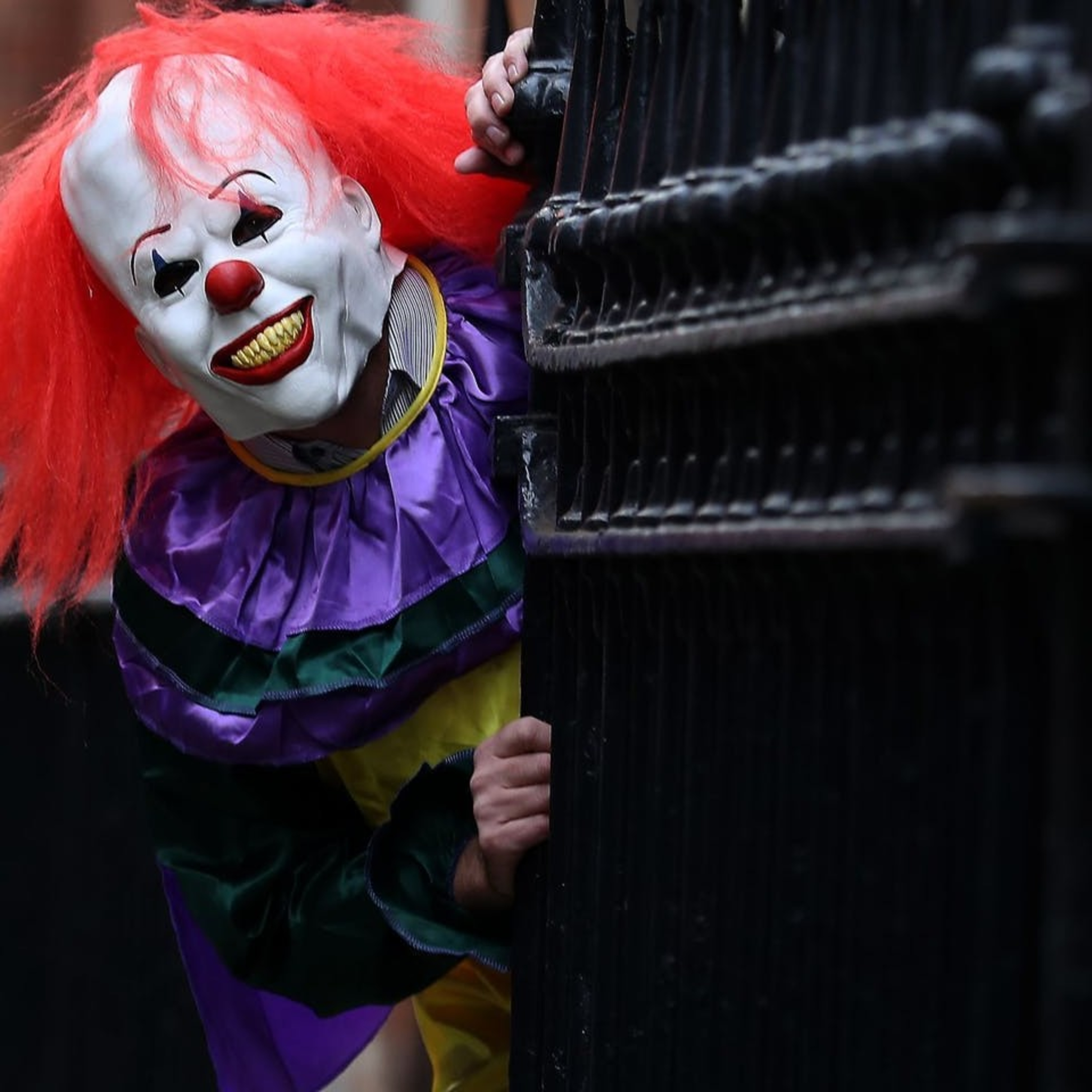 Living On A Scale News