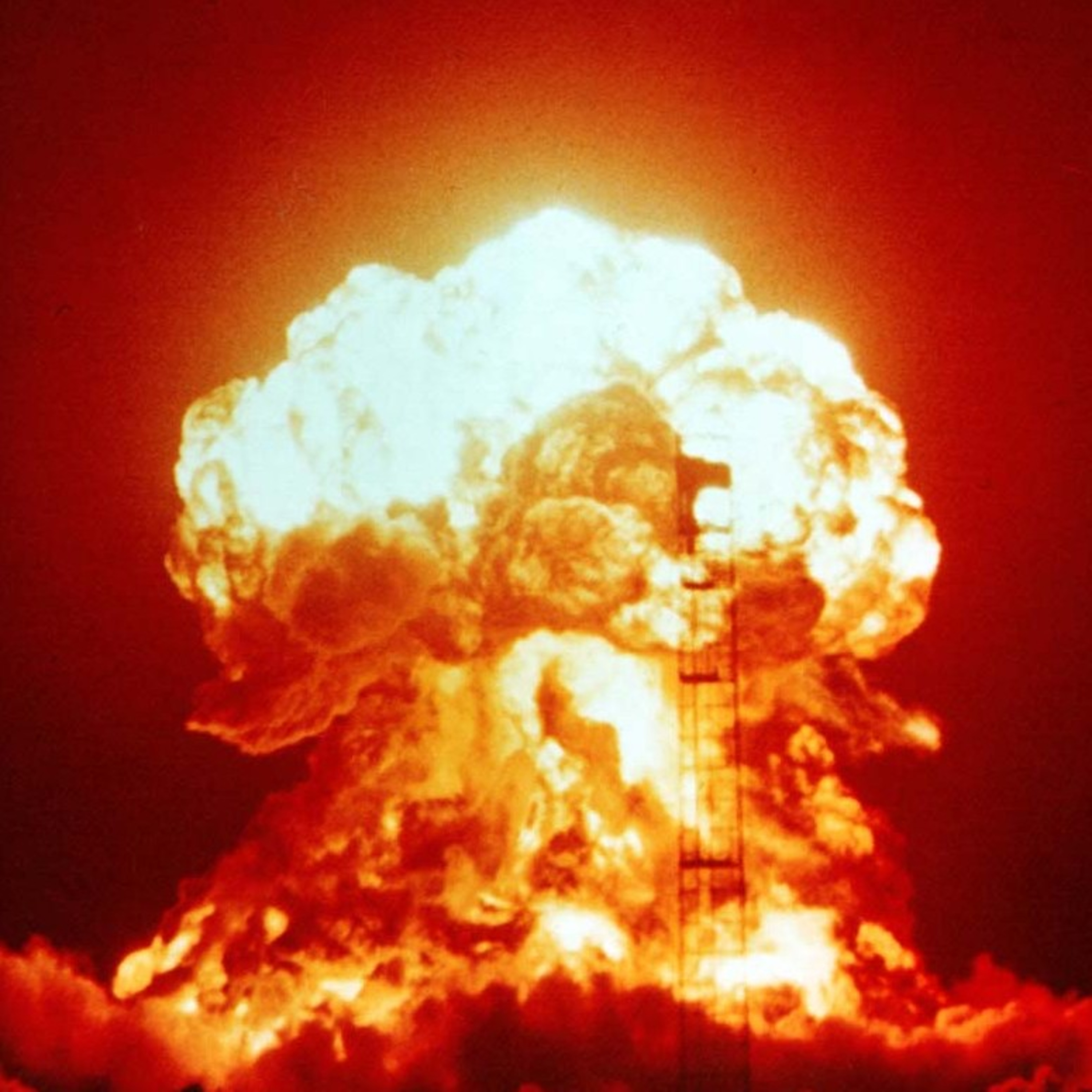 Living On A Scale News