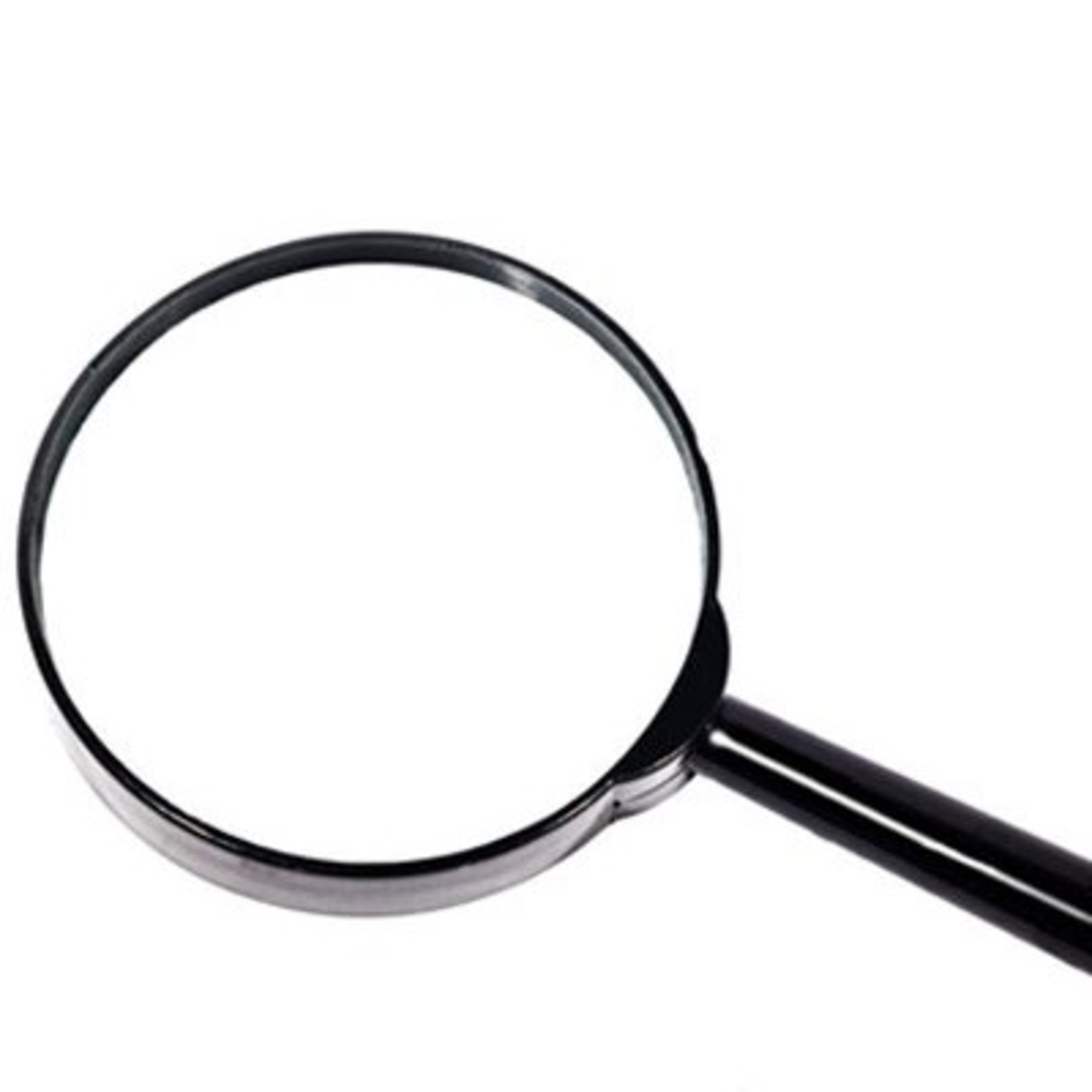 Living On A Scale News