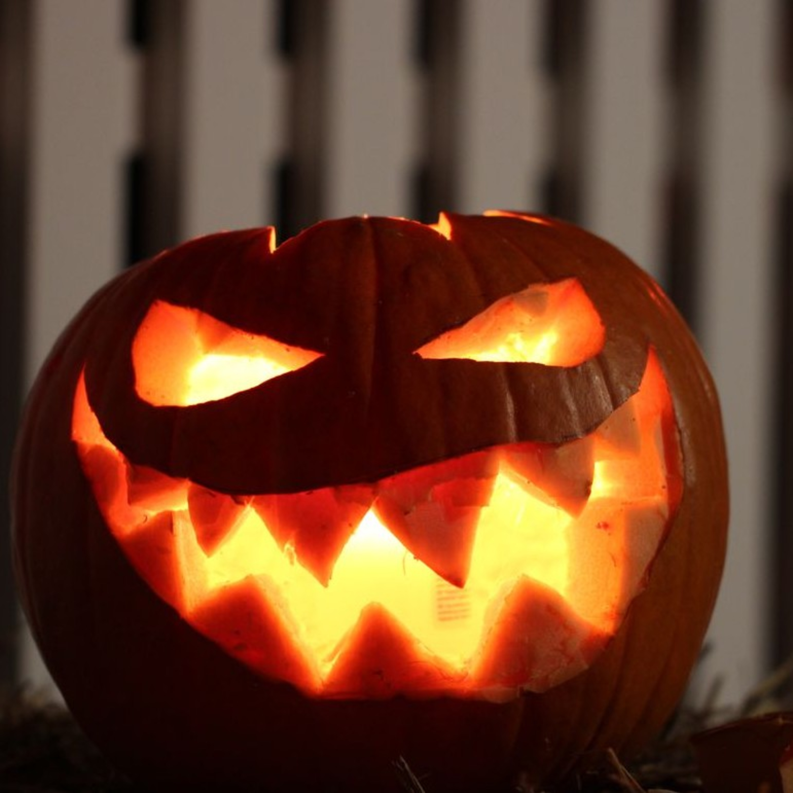 Living On A Scale News