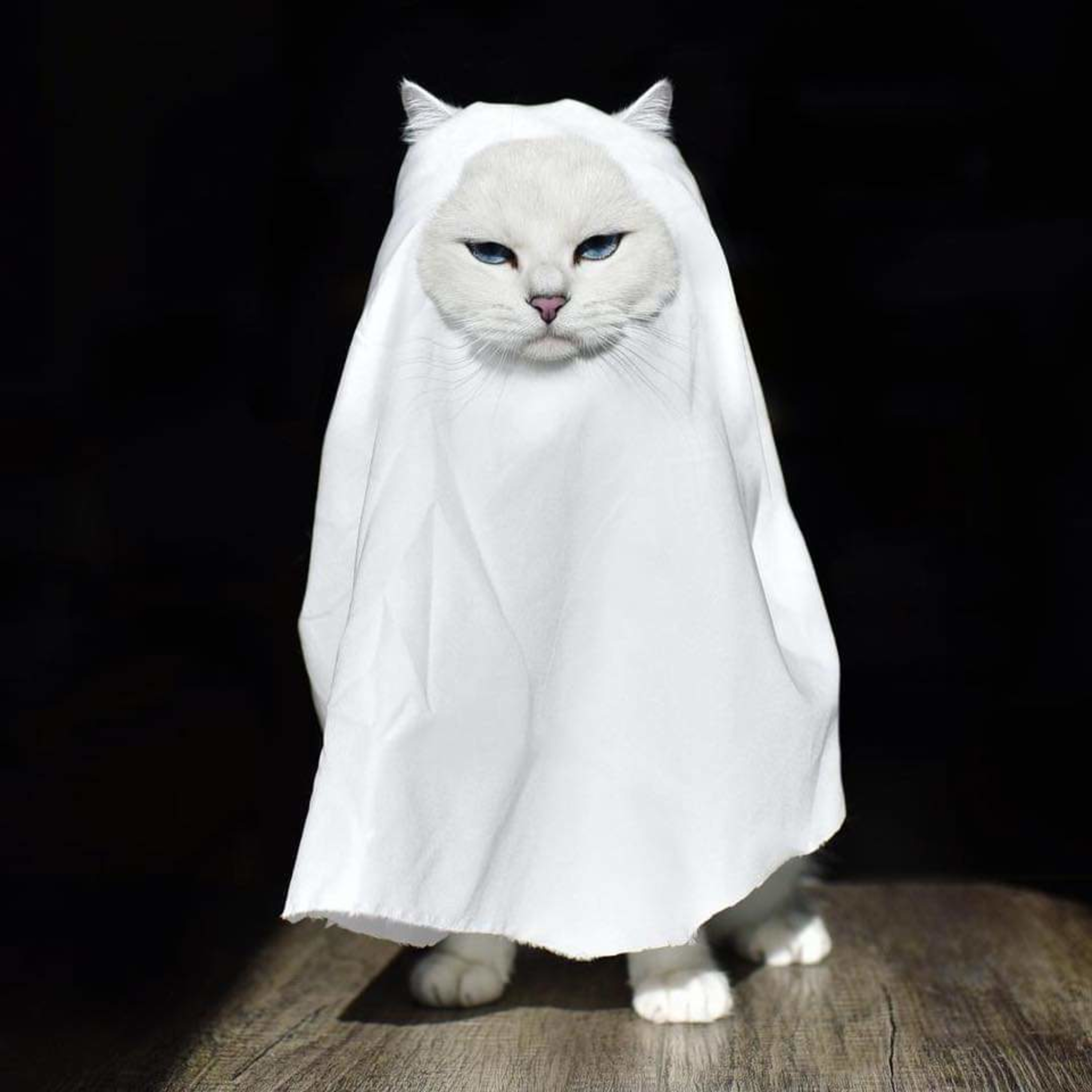 Living On A Scale News