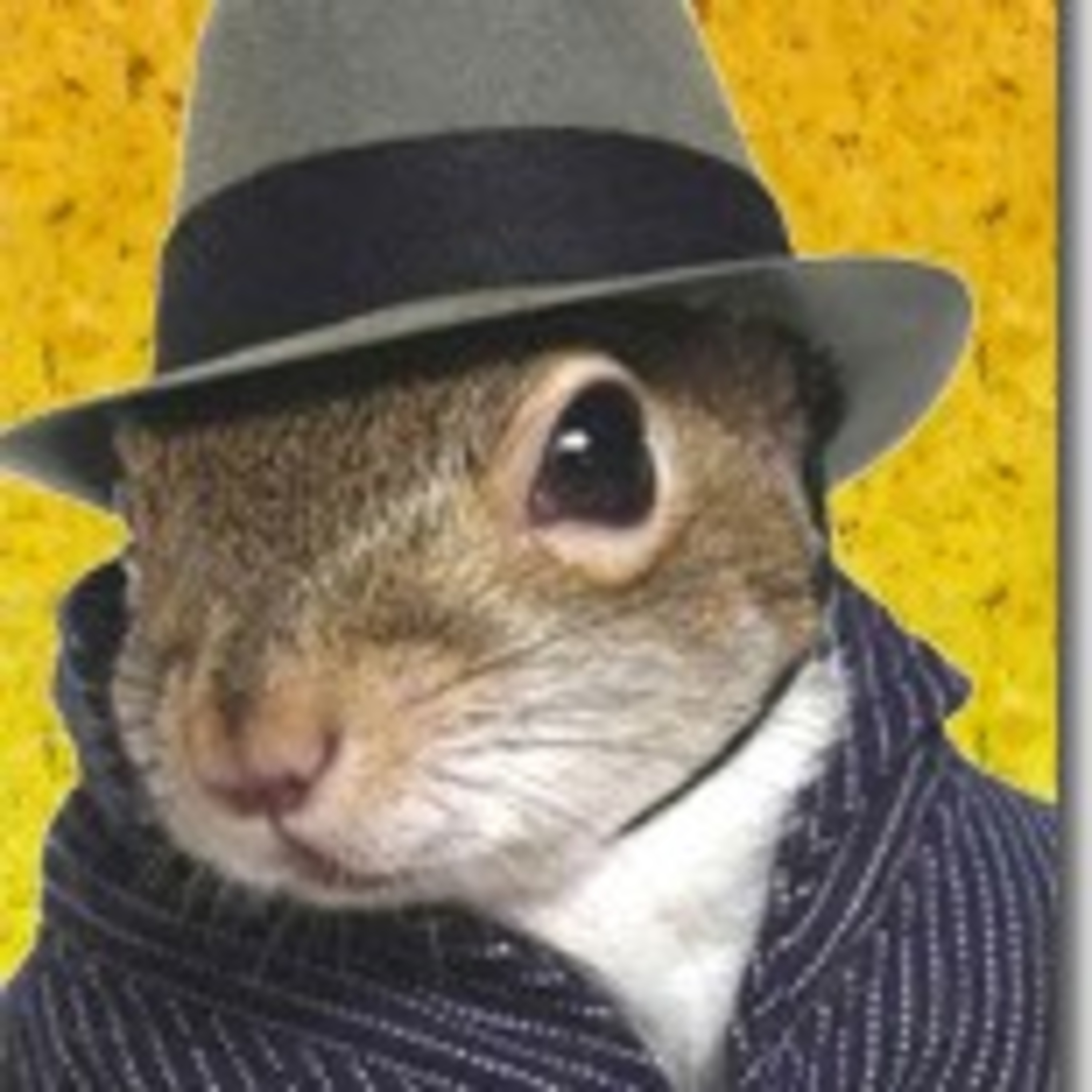 Living On A Scale News