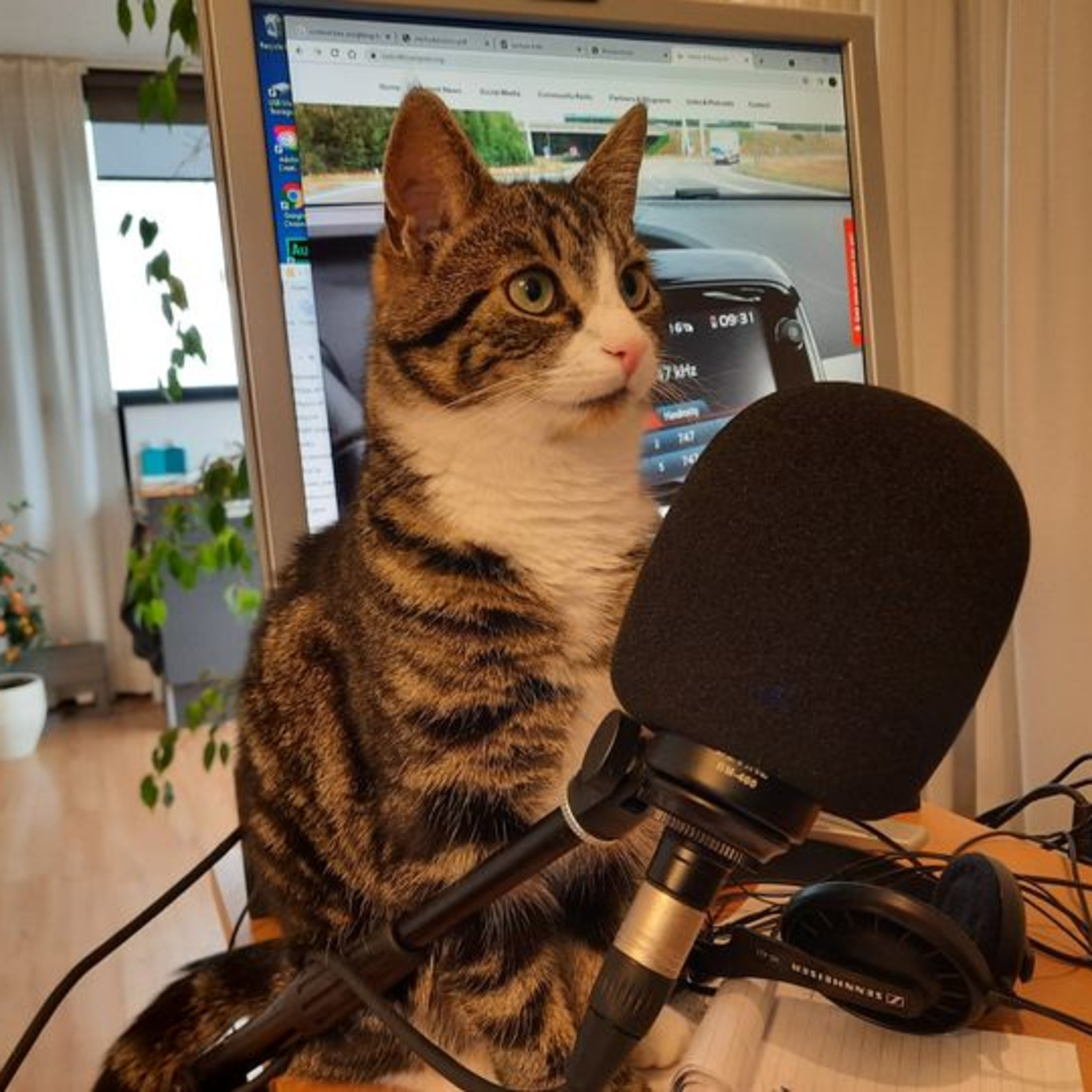 Podcasts 4 Brainport, featured by Radio 4 Brainport, 747AM and DAB+