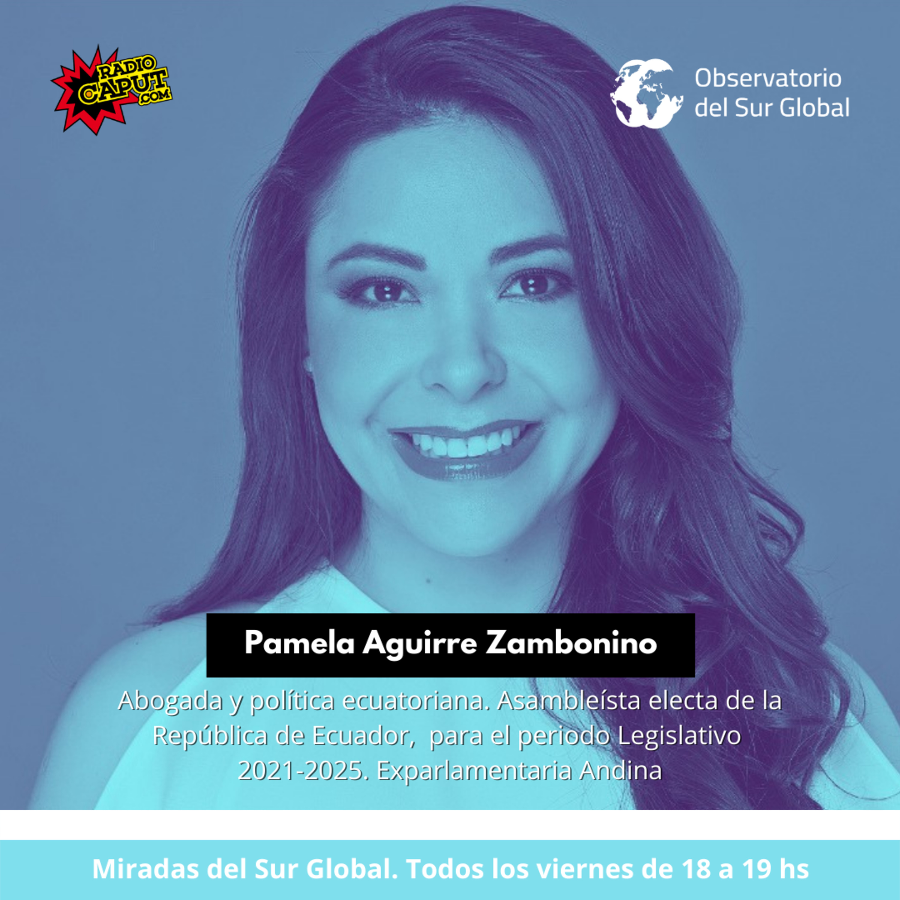 Miradas del Sur Global