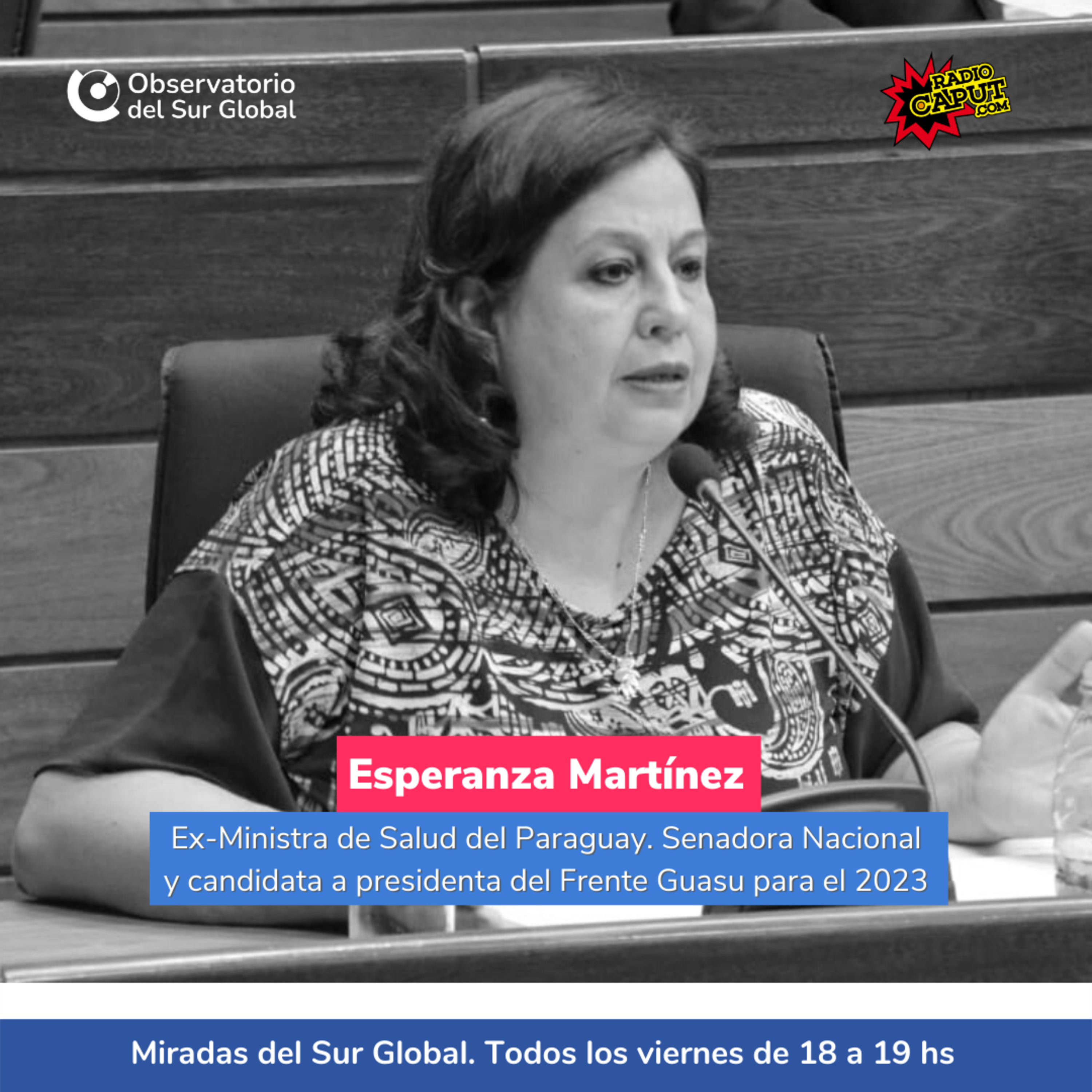 Miradas del Sur Global