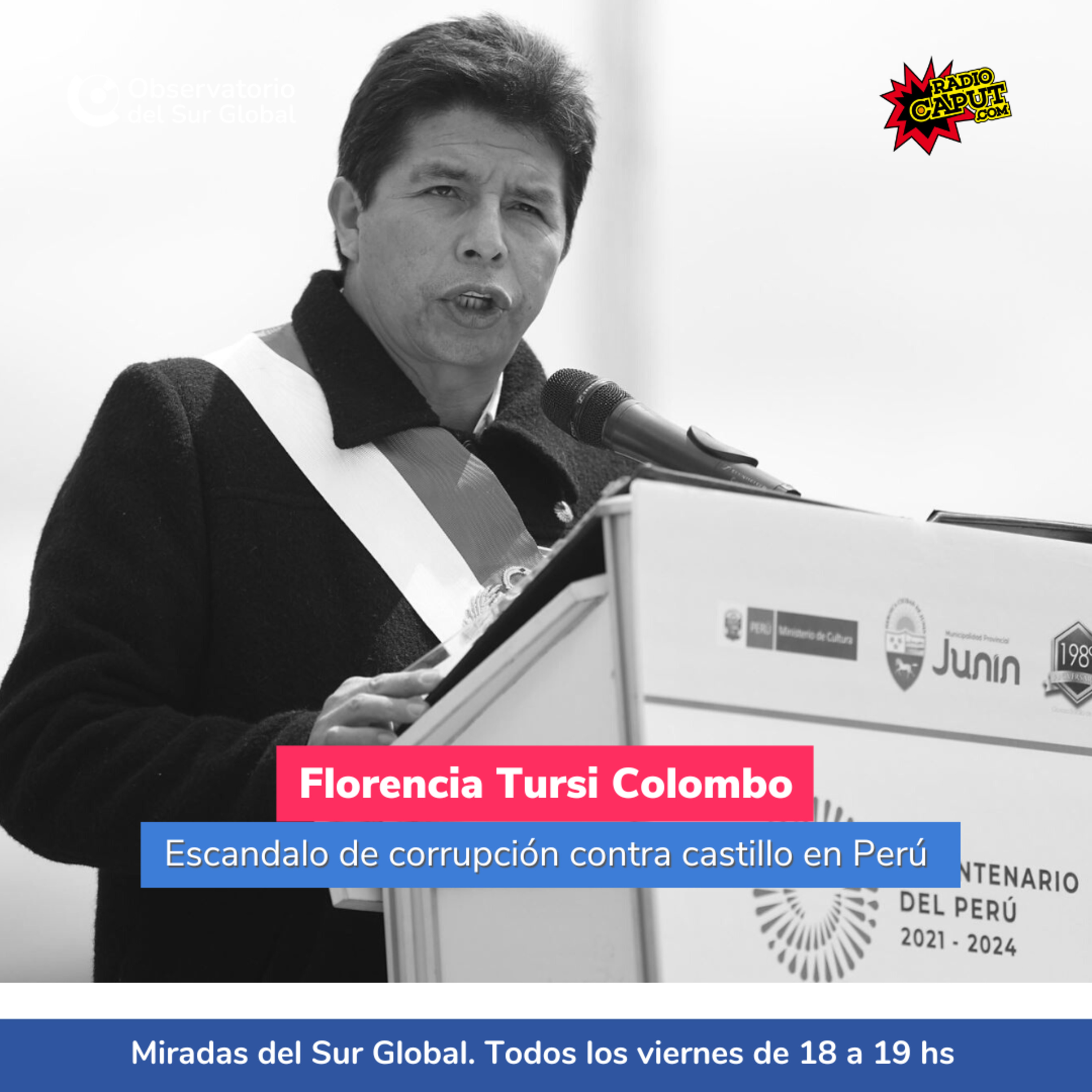 Miradas del Sur Global