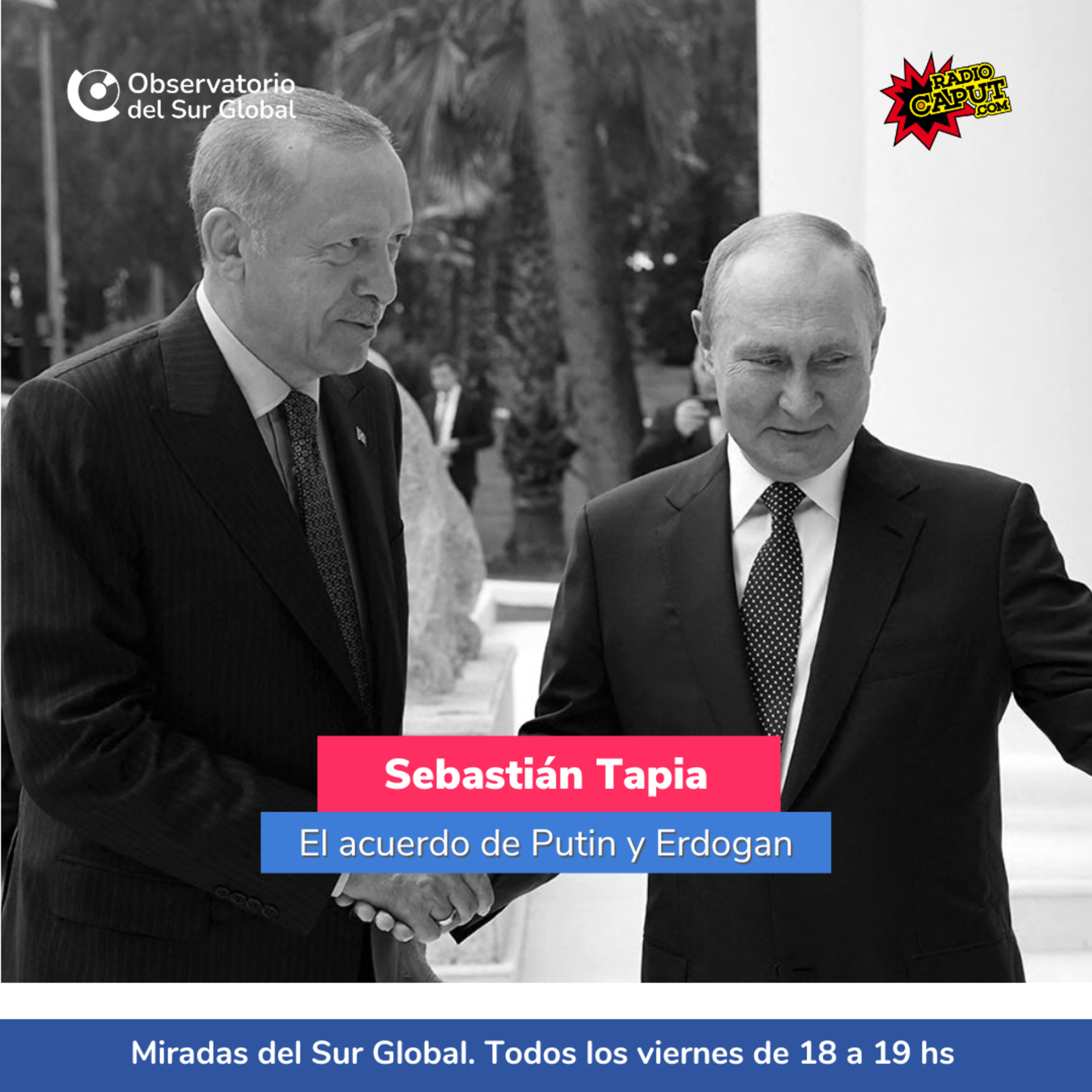 Miradas del Sur Global