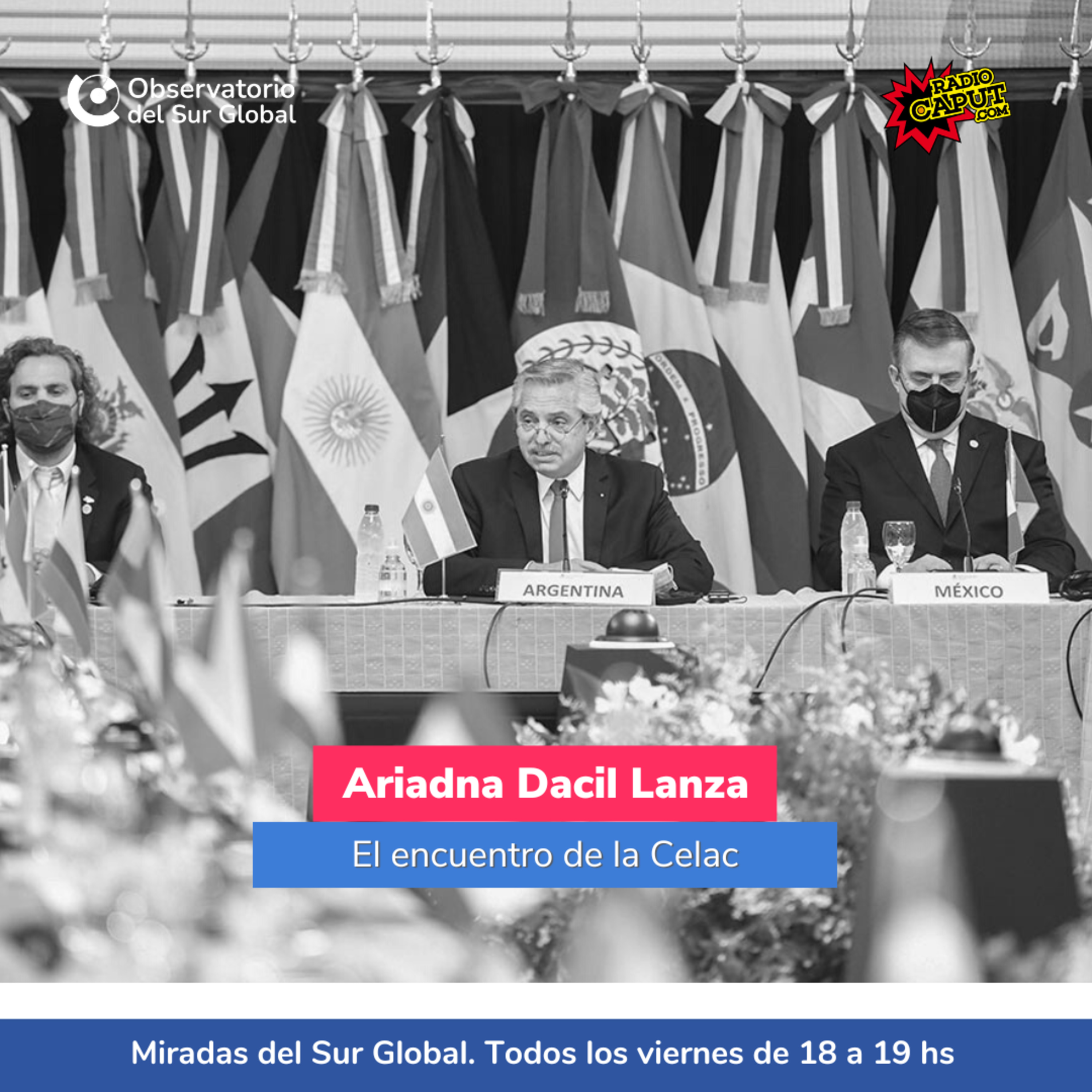 Miradas del Sur Global