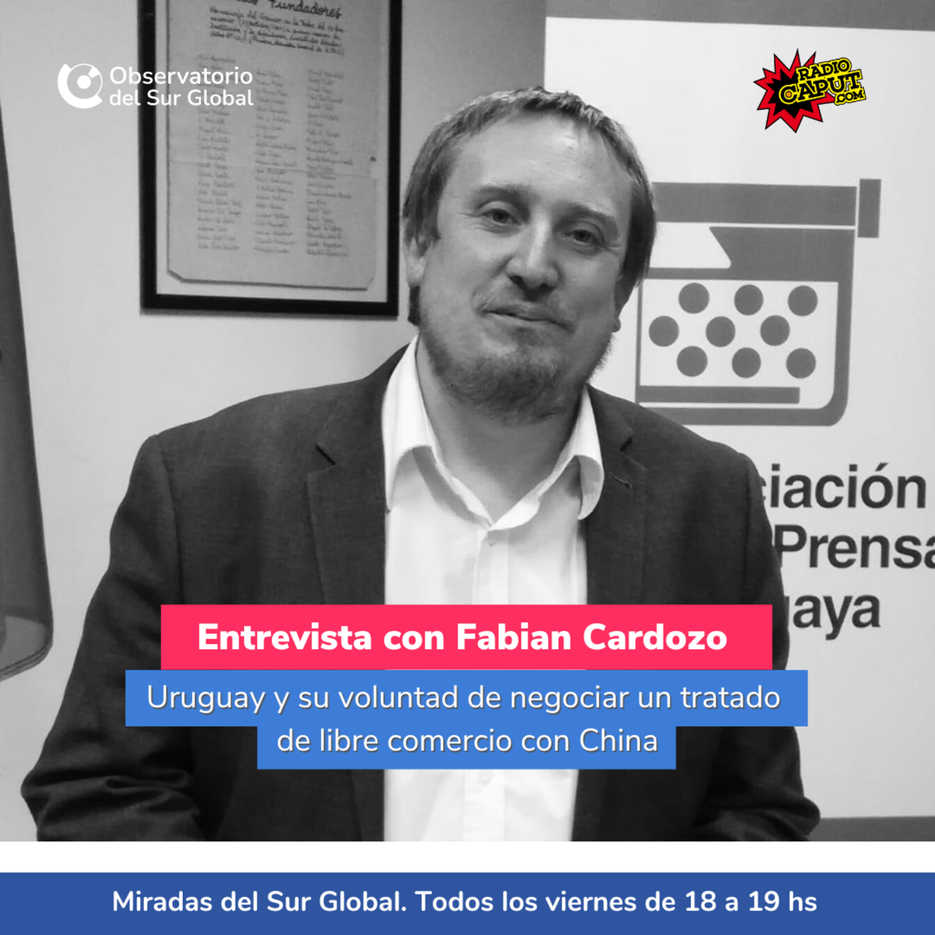 Miradas del Sur Global