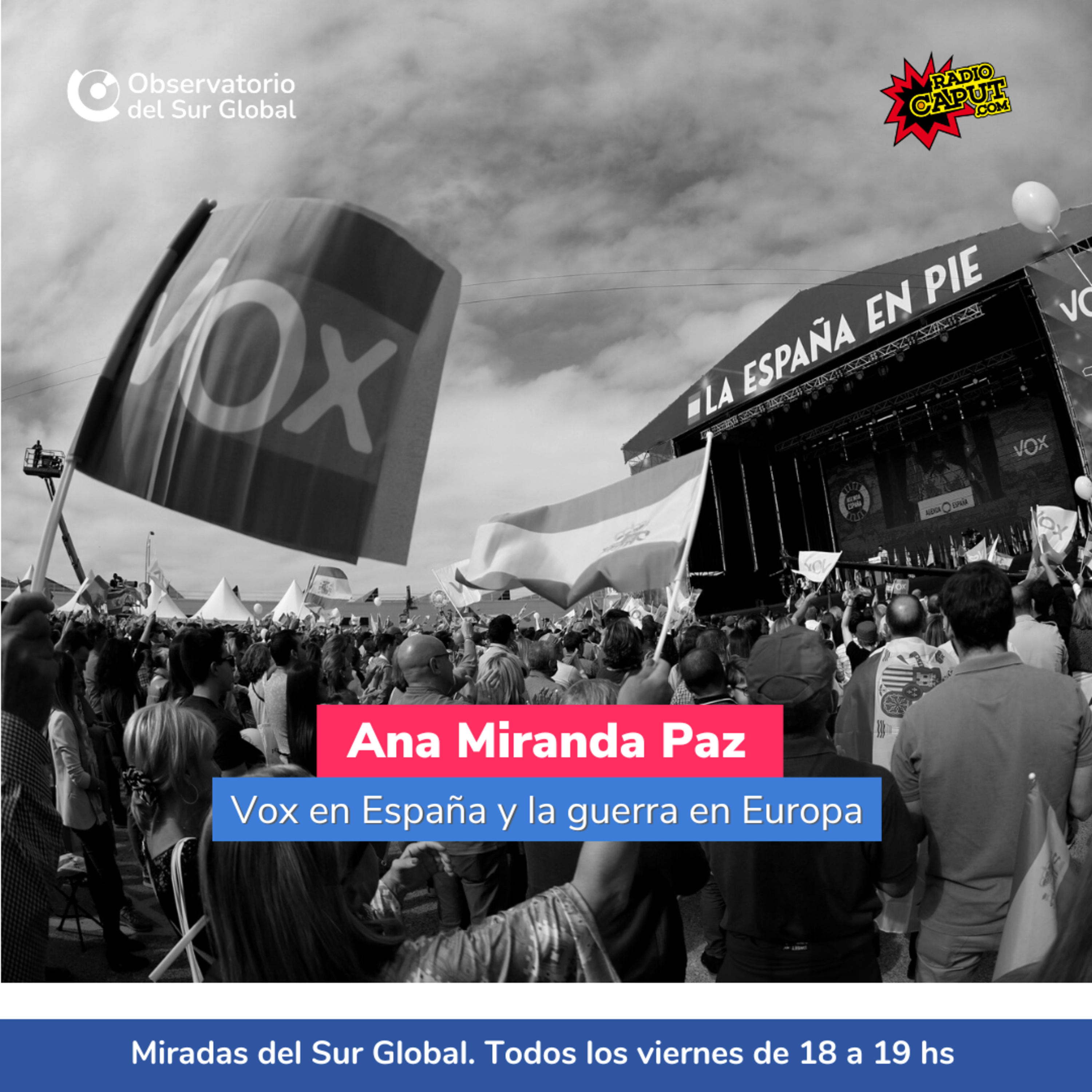 Miradas del Sur Global