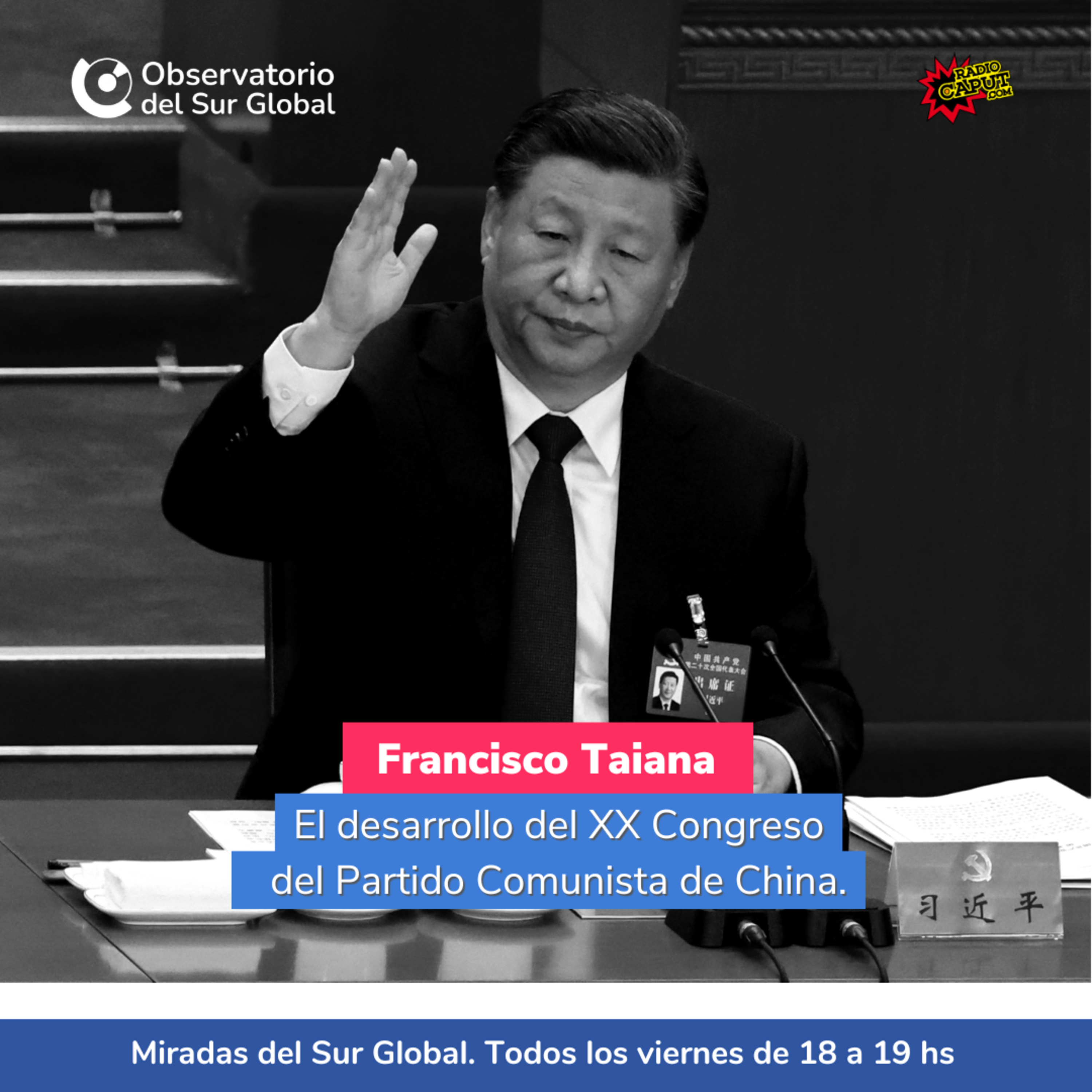 Miradas del Sur Global