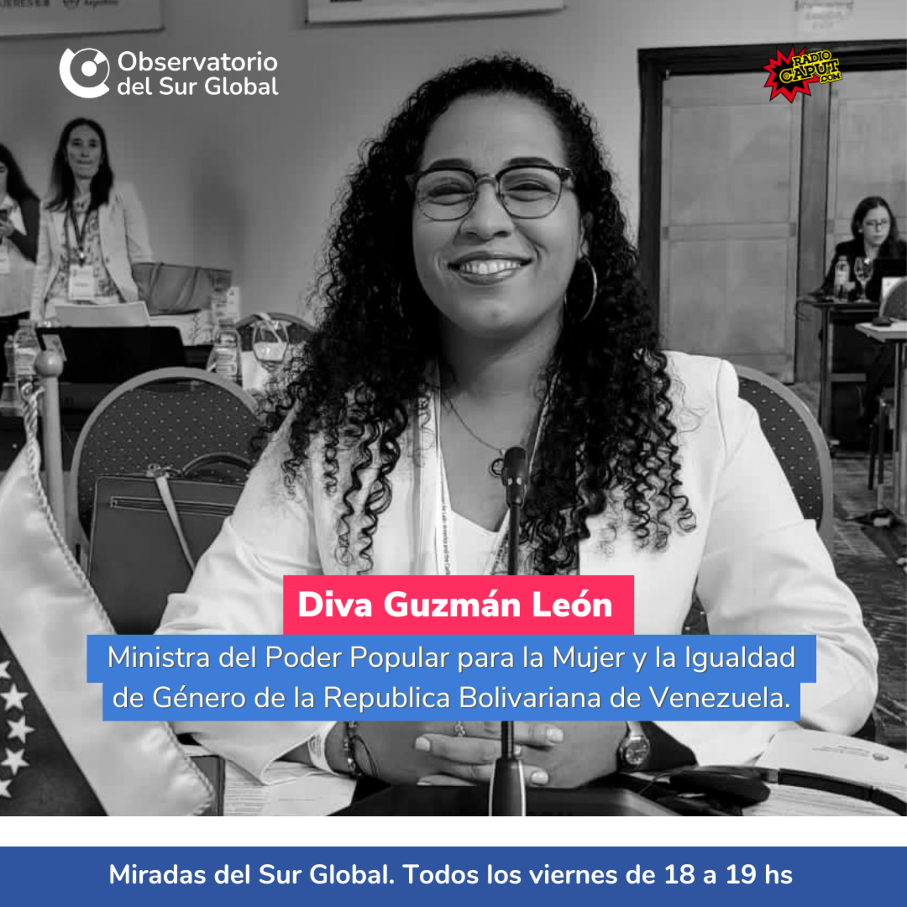 Miradas del Sur Global