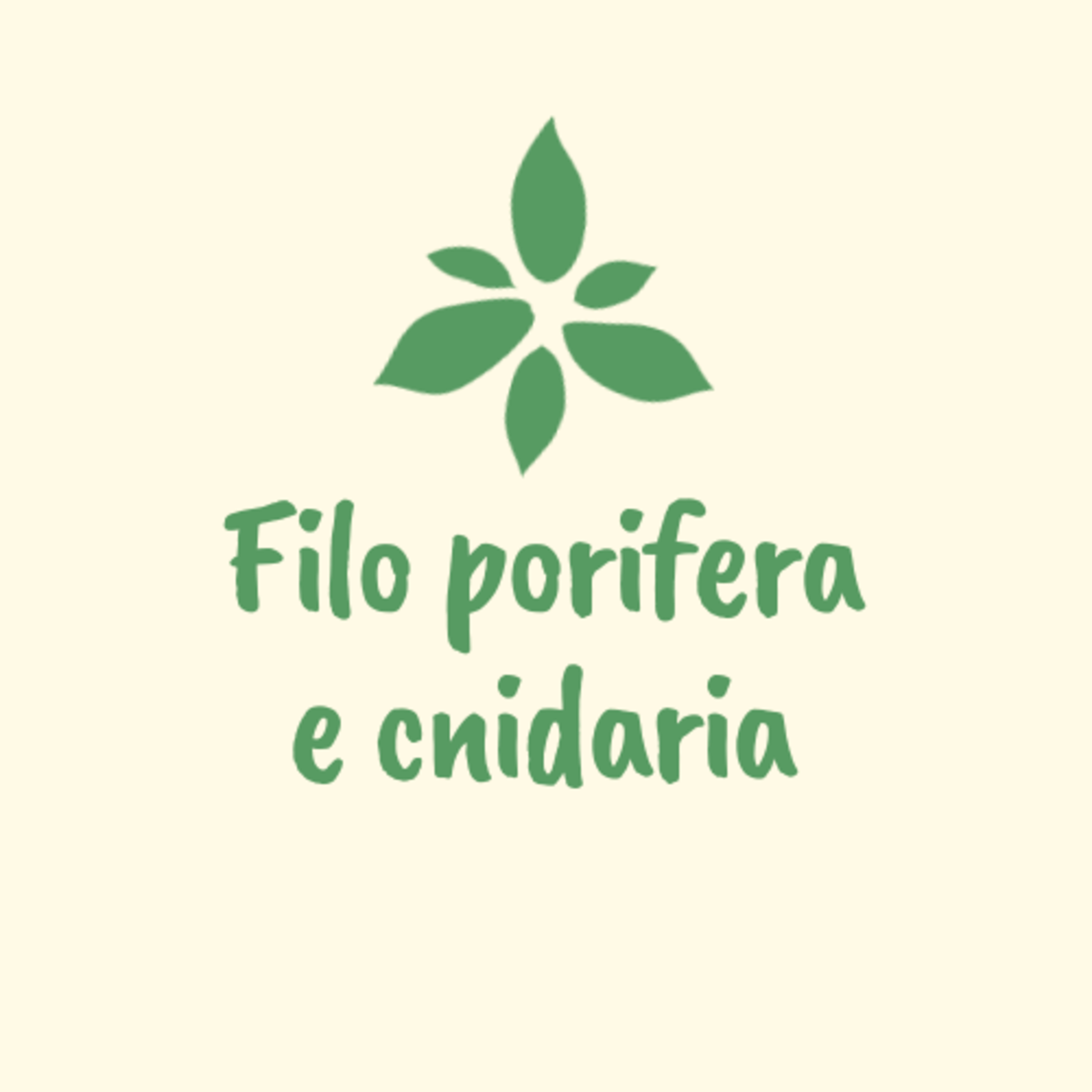 Filo porifera e cnidaria