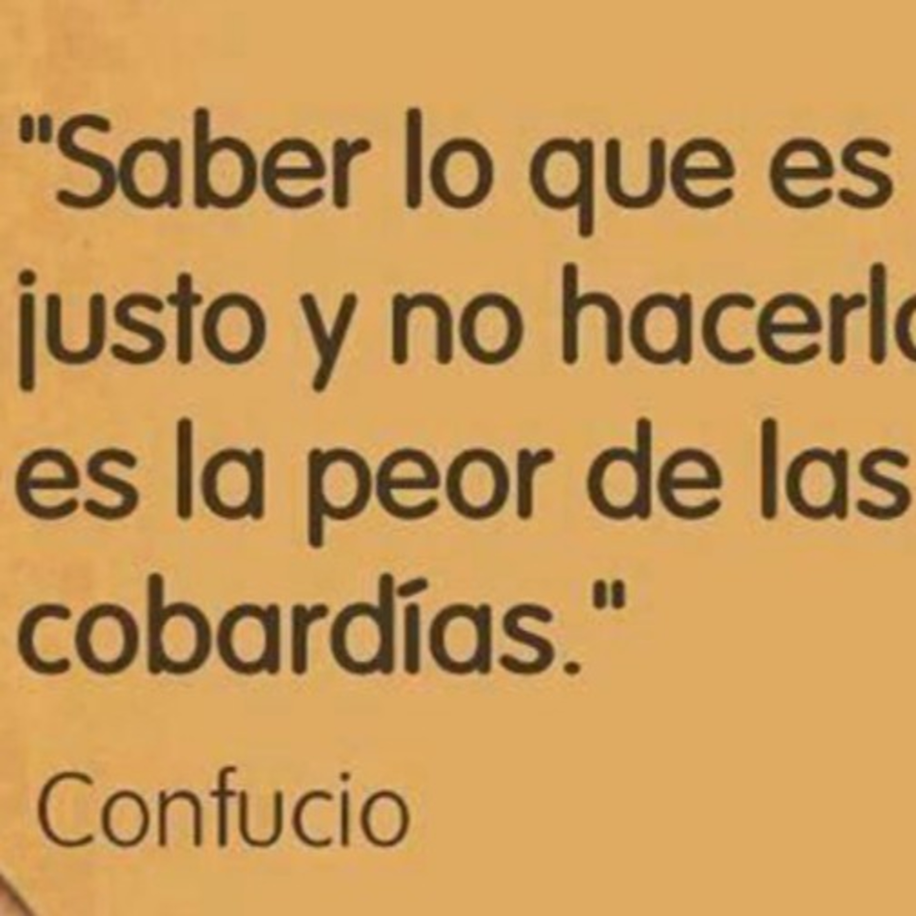 VIDA SALUDABLE