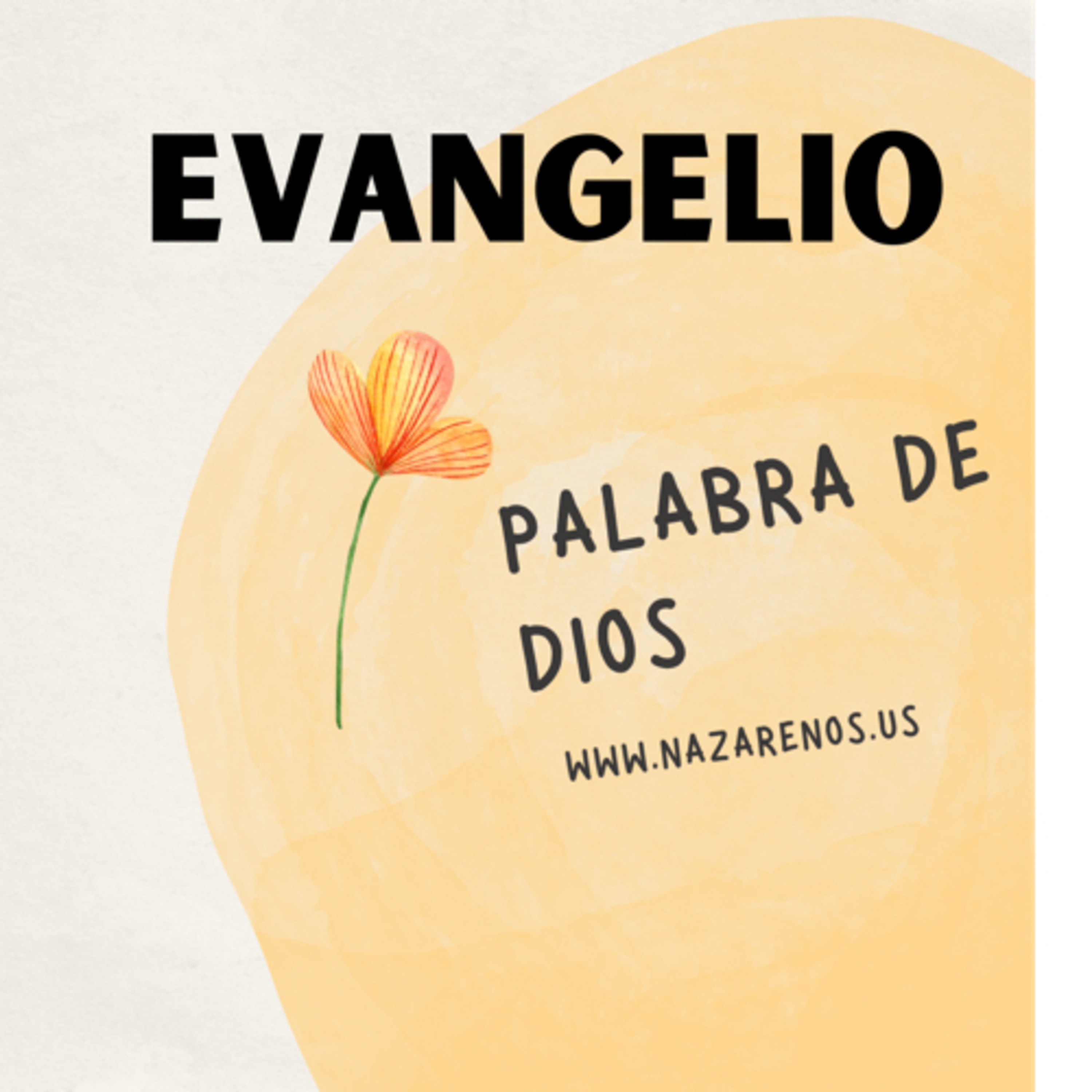 Nazarenos Católicos