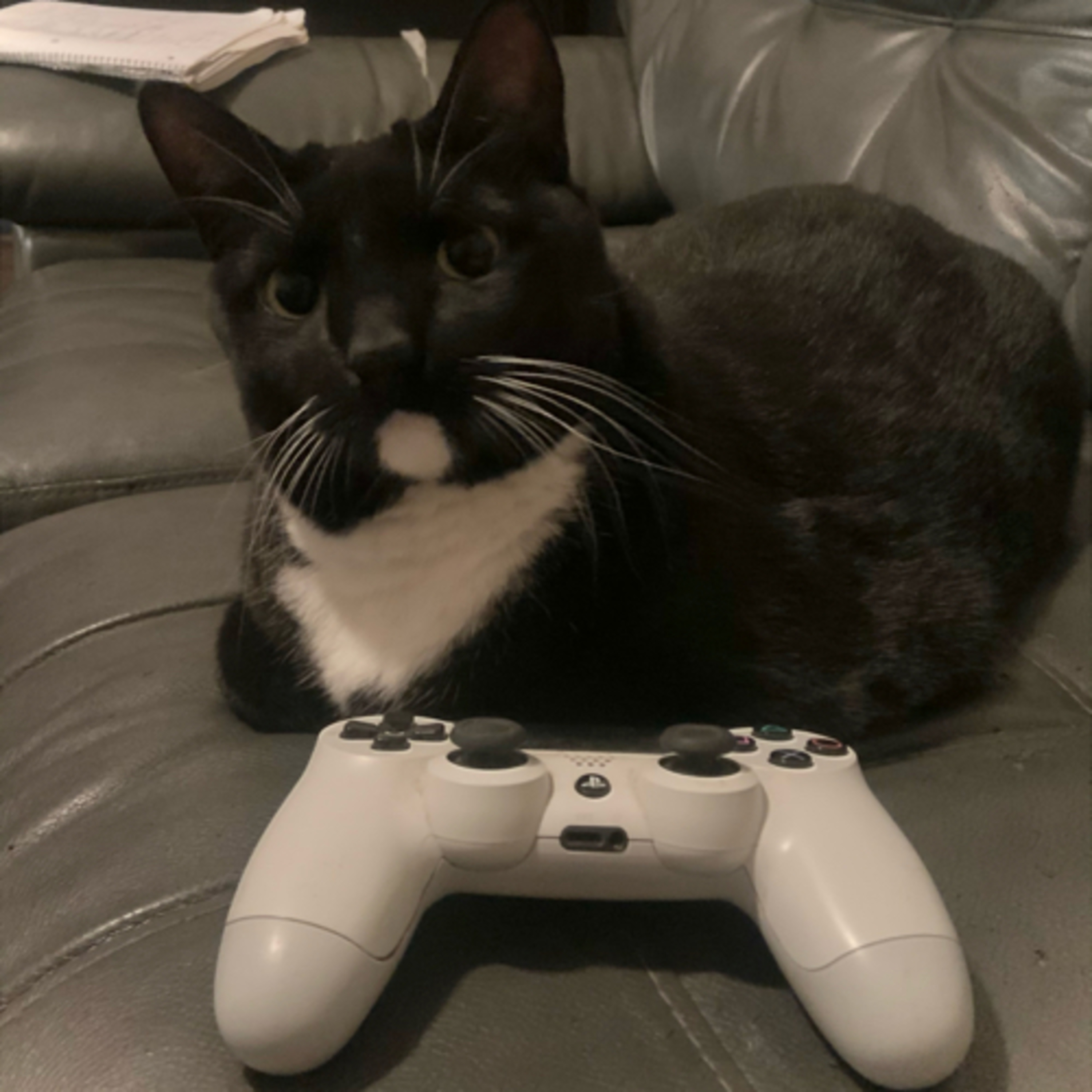 I Stream Video Games thumbnail