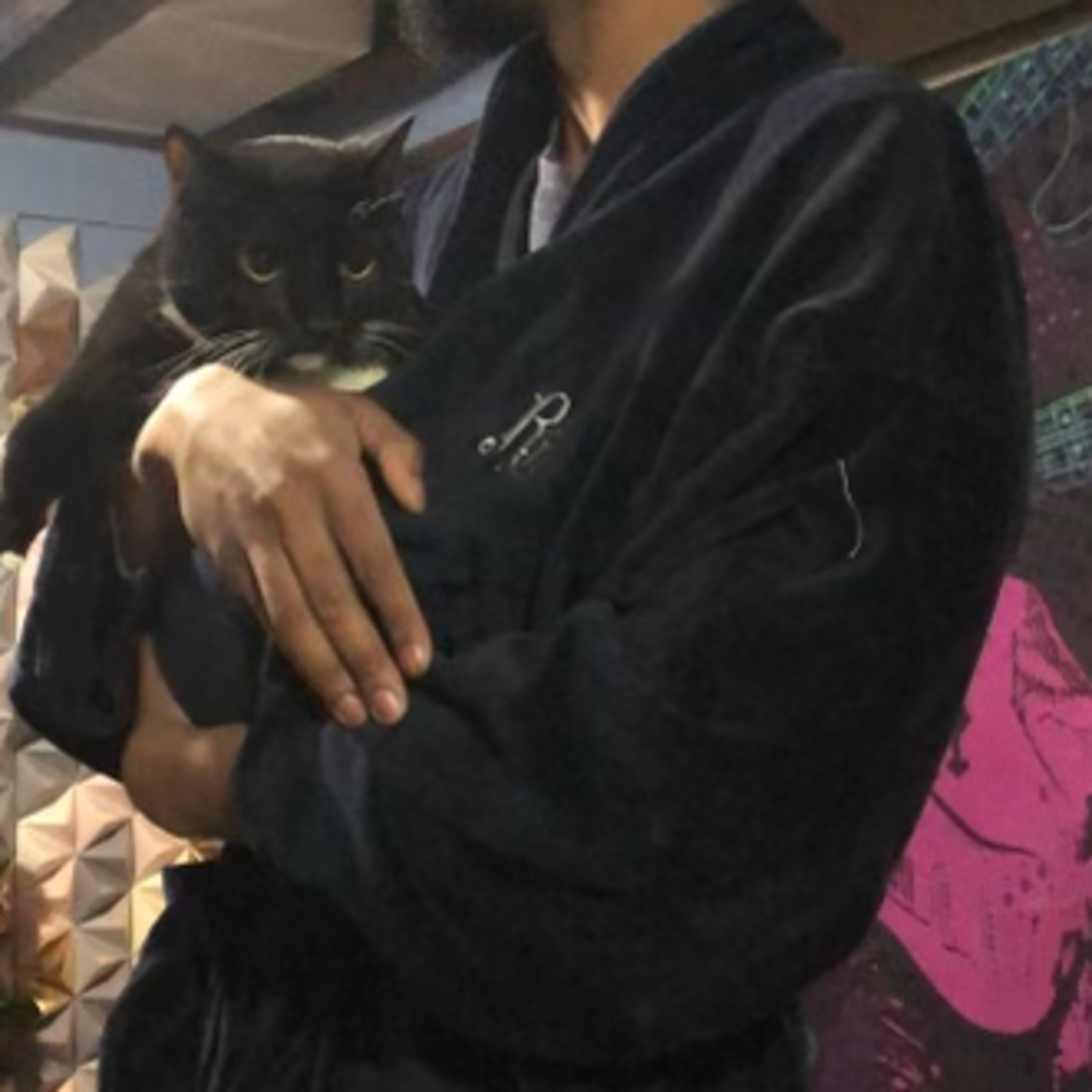 Tales From the Basement; or, a Catwanzaa Fail thumbnail