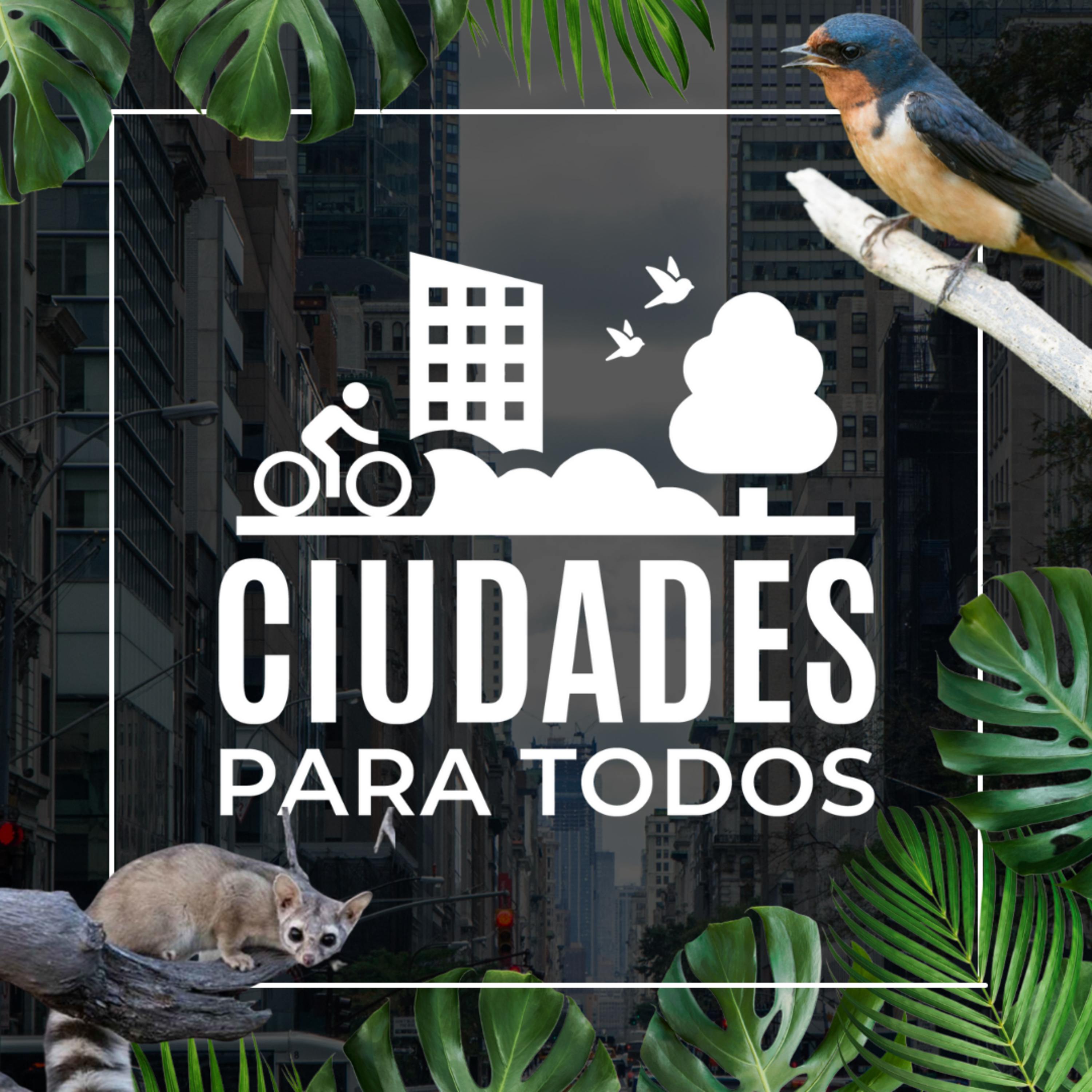 Ciudades para todos