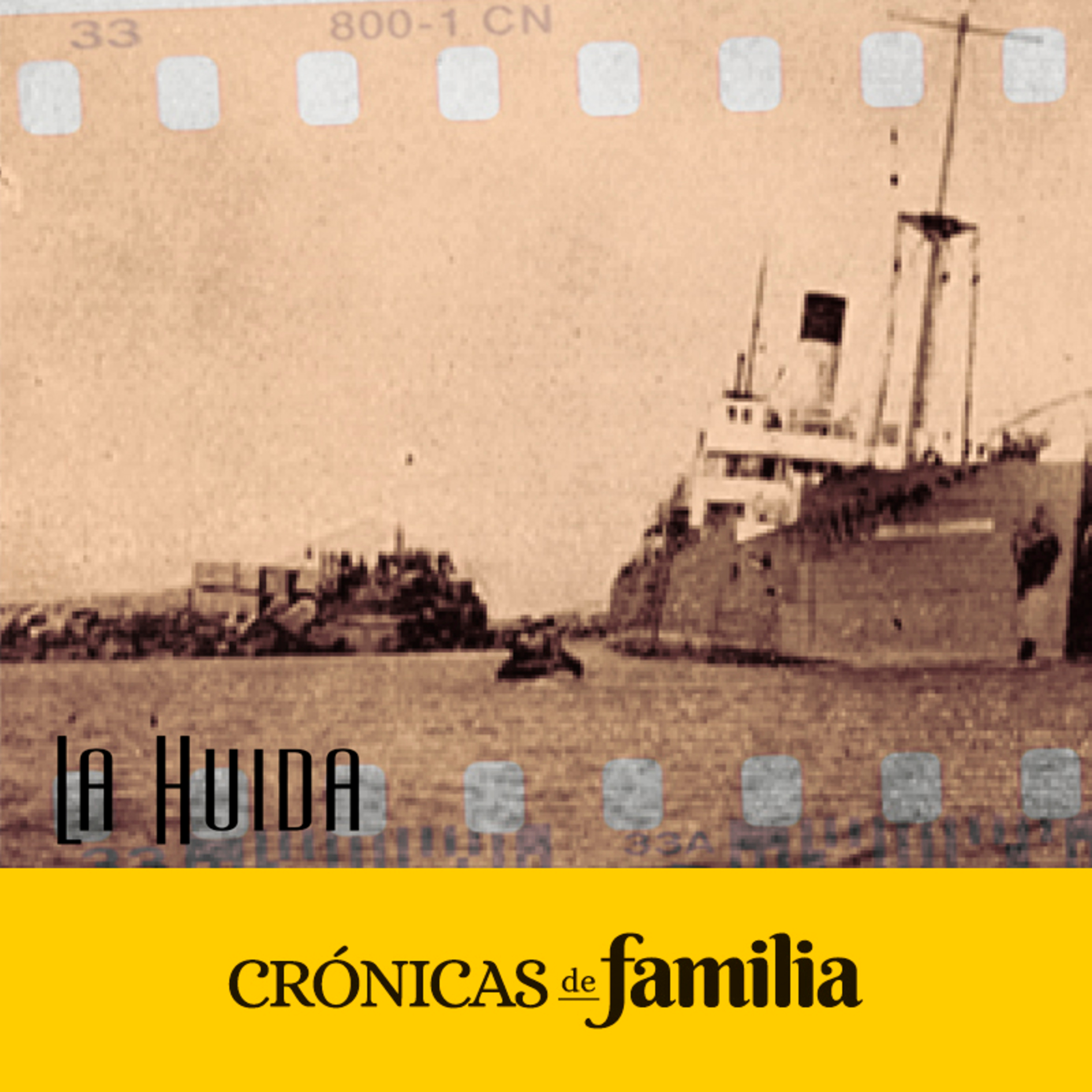 dyrm1 - Cuenca del Plata