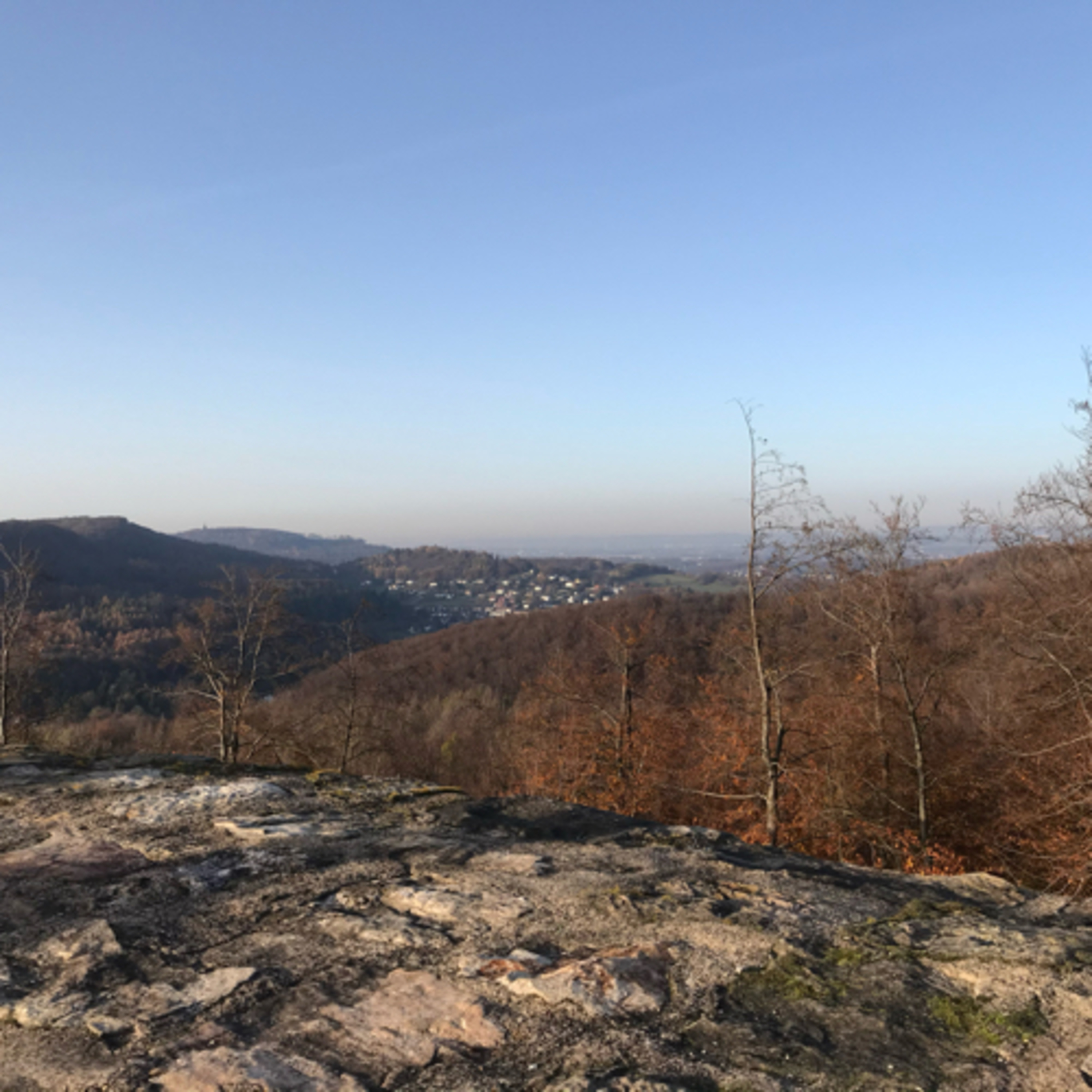 Wandertour „Falkenburg“ bei Berlebeck/Horn episode artwork