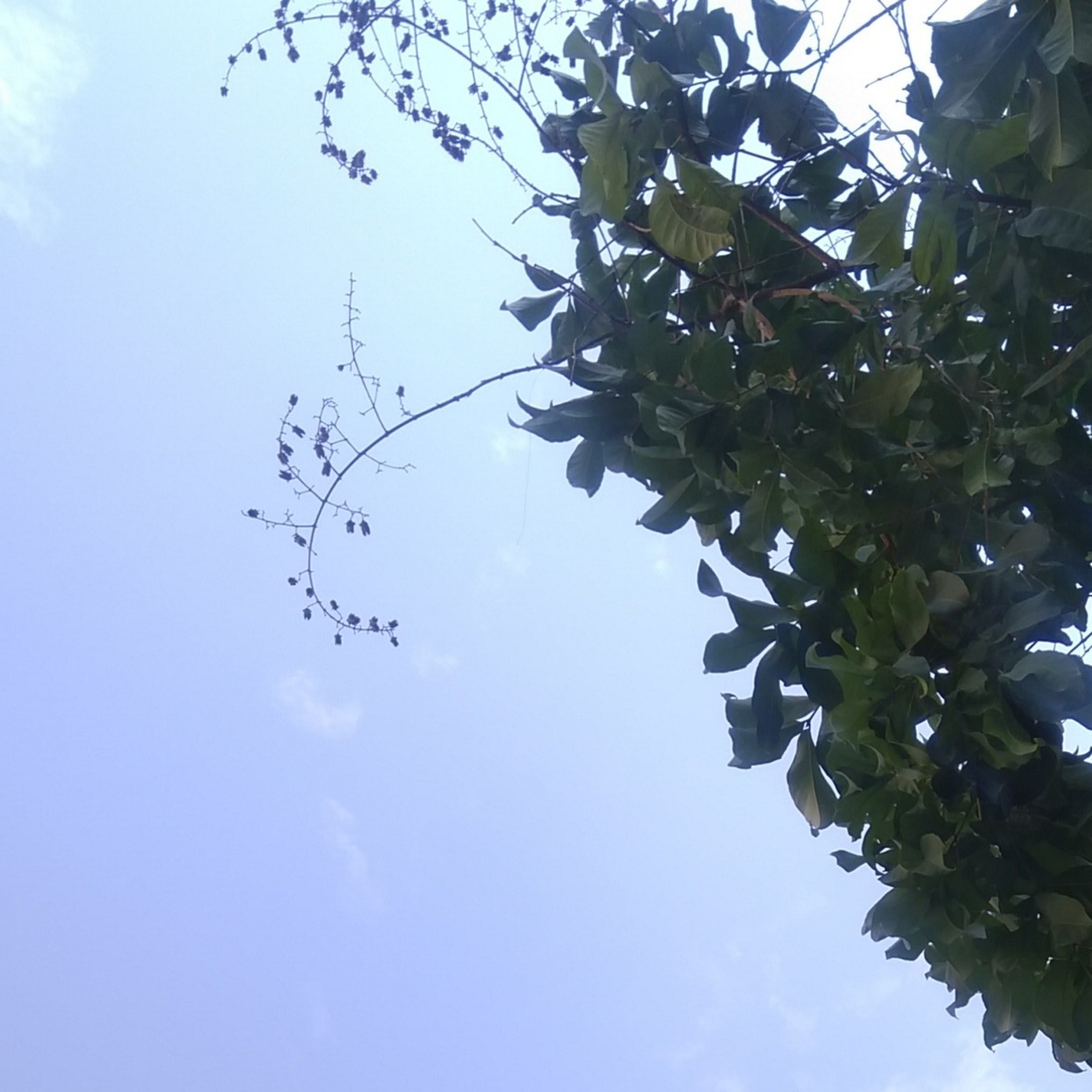 Riski Indrawan
