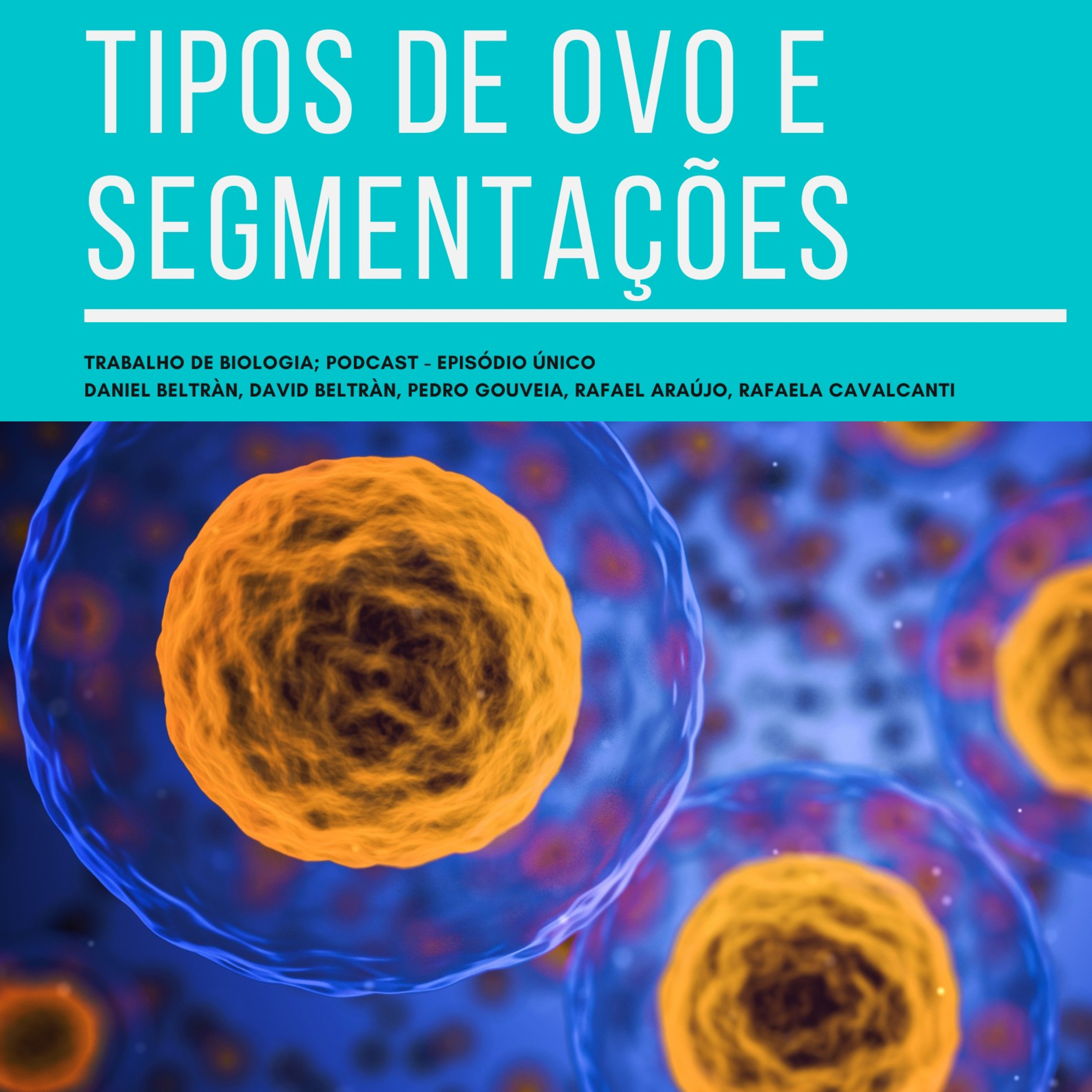 TIPOS DE OVO E SEGMENTAÇÕES (TRABALHO DE BIO)