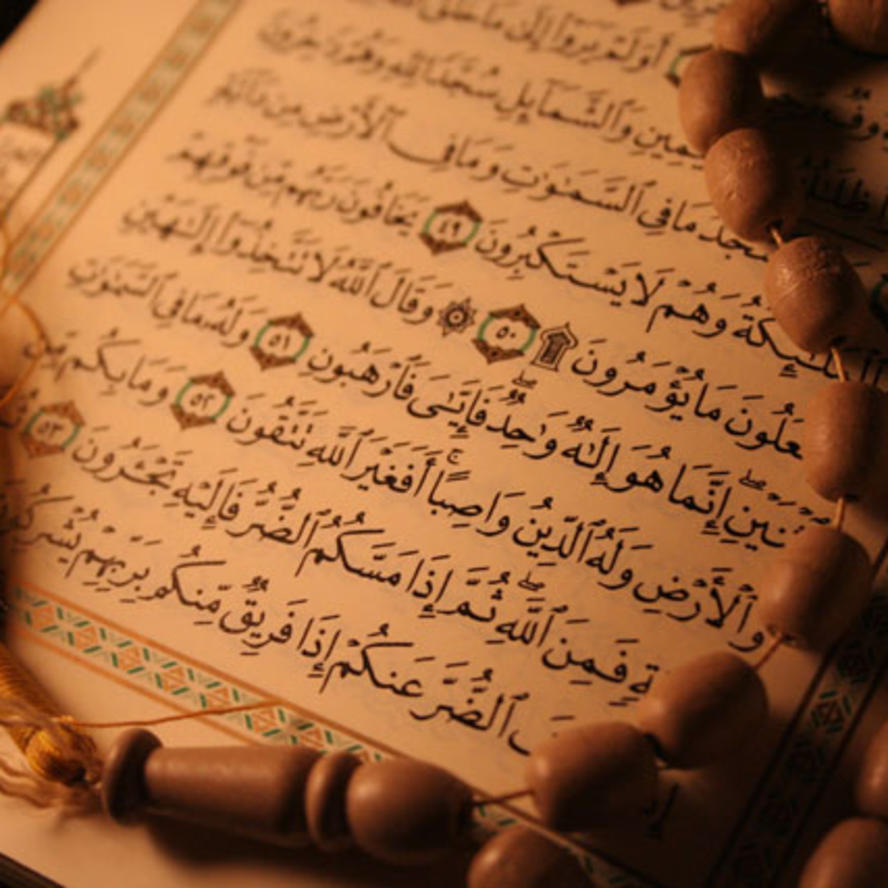 حتى على الموت لا أخلو من الحسد - أحسن القصص (3) - الشيخ عمر عبد الكافي