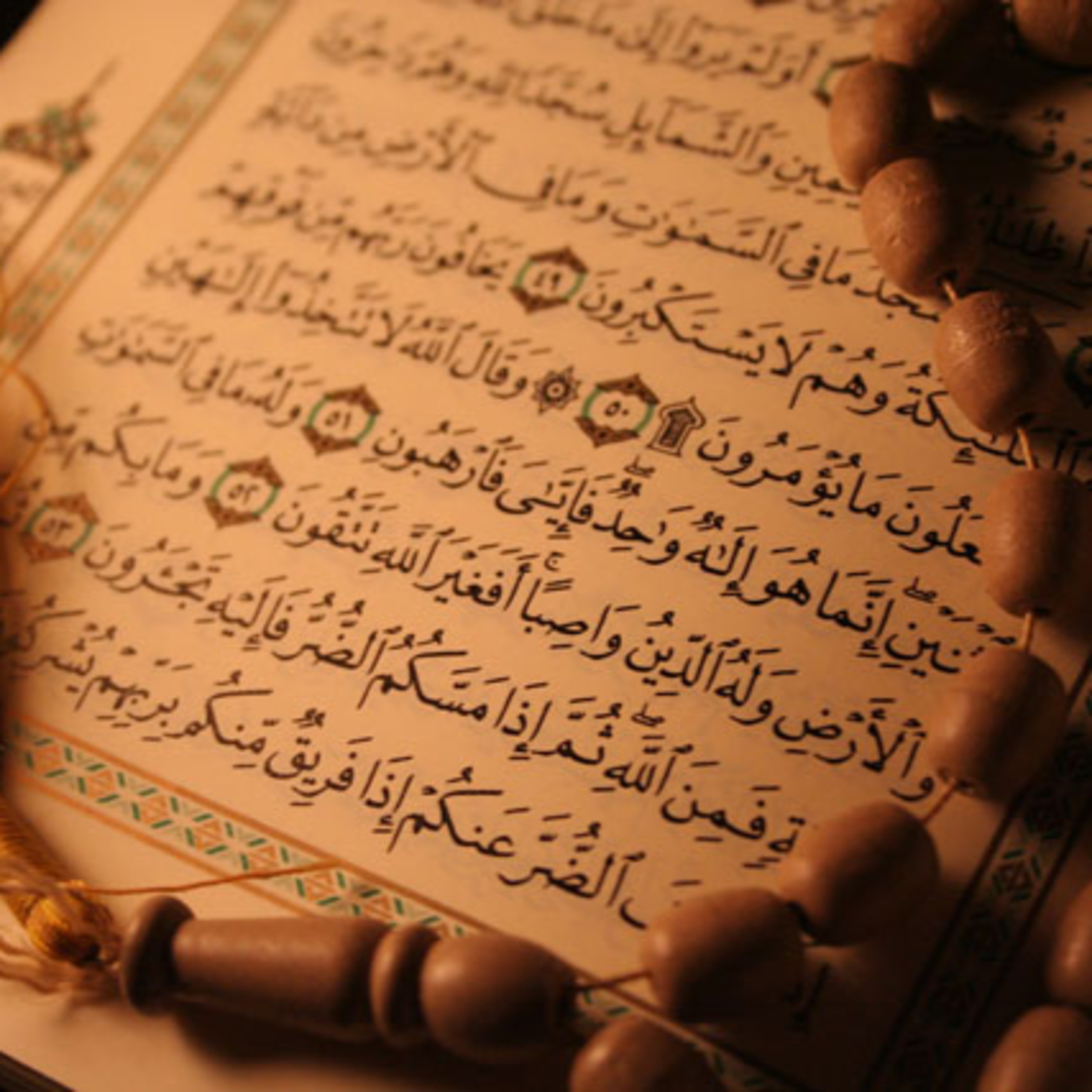 كيف خانت زوجة نوح - أحسن القصص (5) - الشيخ عمر عبد الكافي