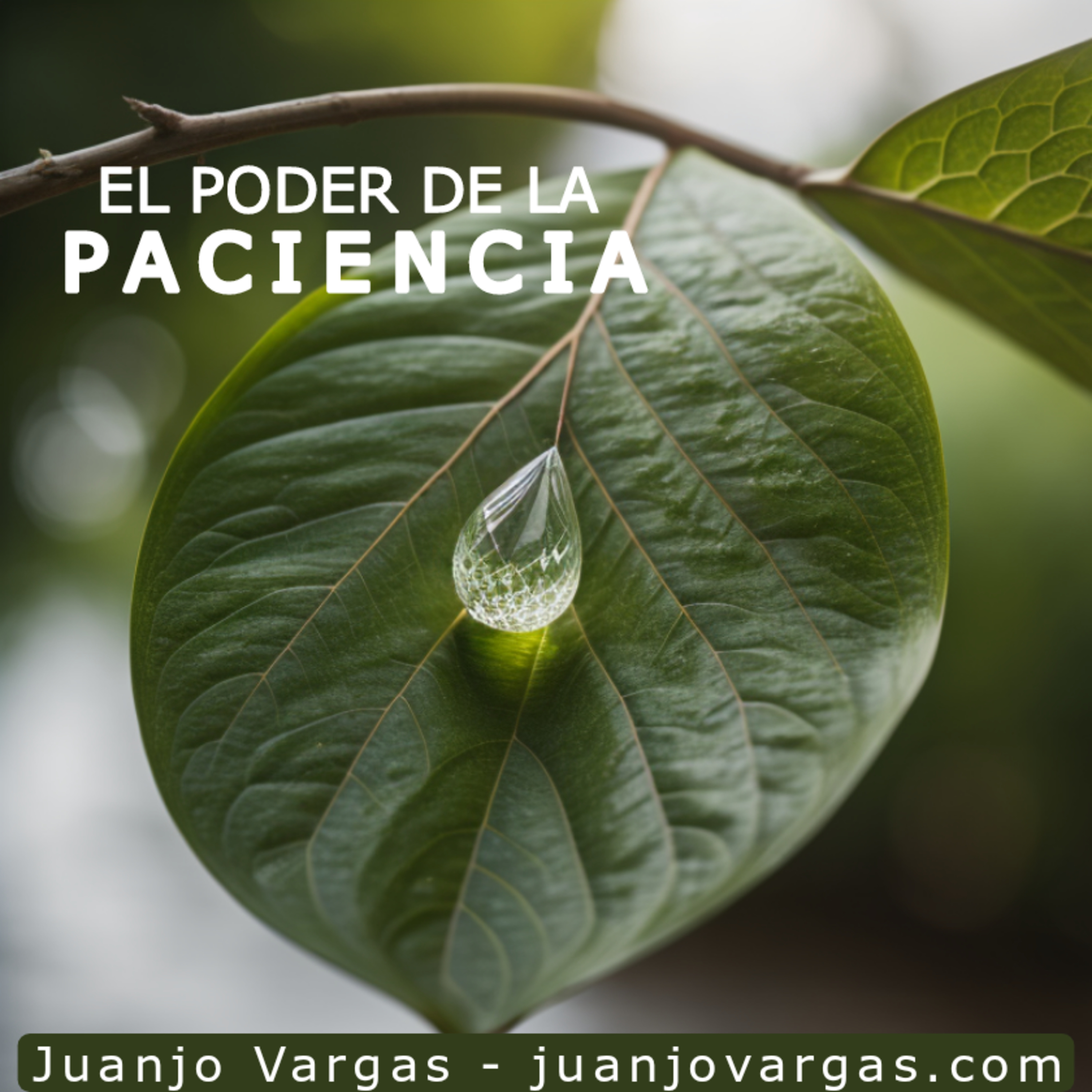 Juanjo Vargas - Comunicación