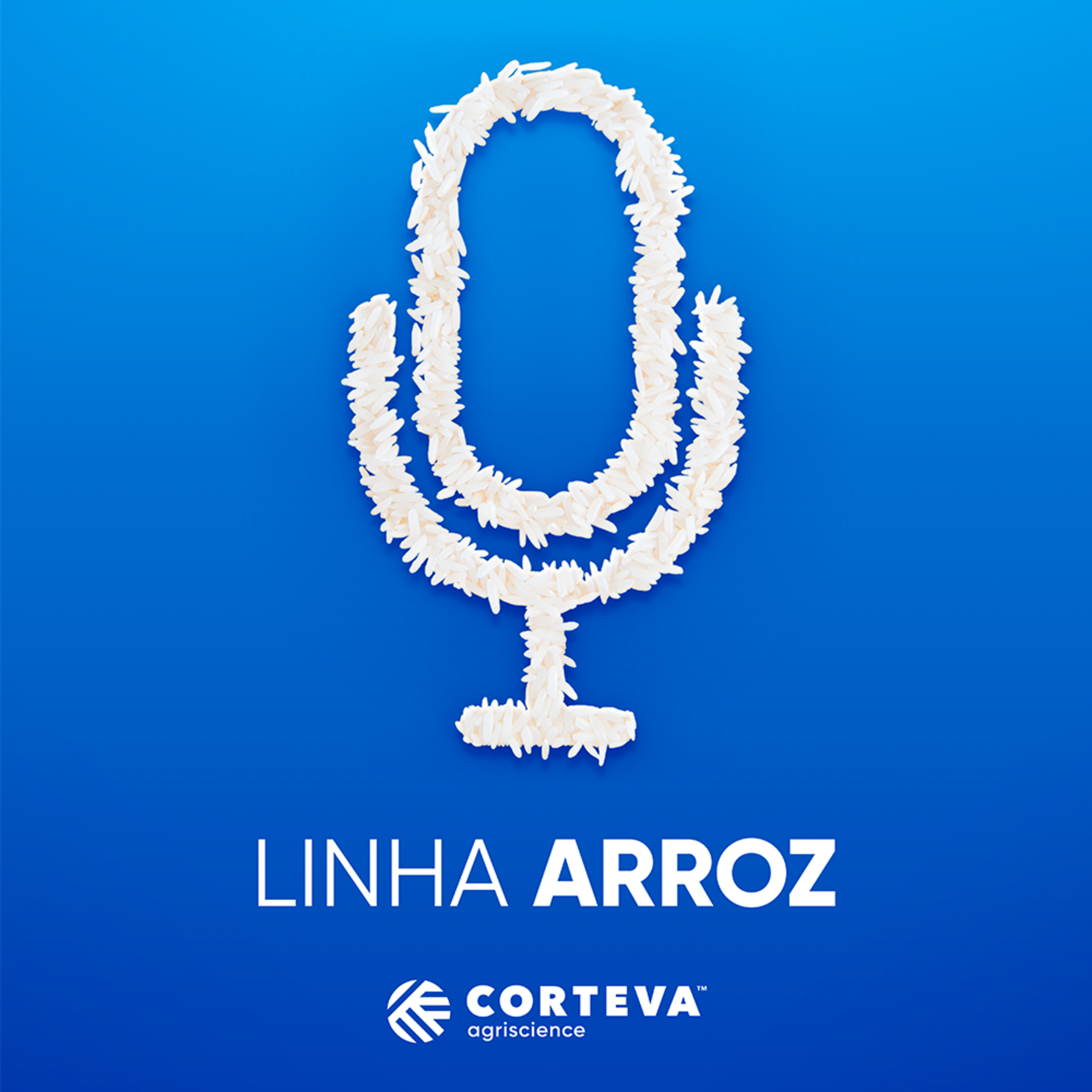 Acredite no Arroz